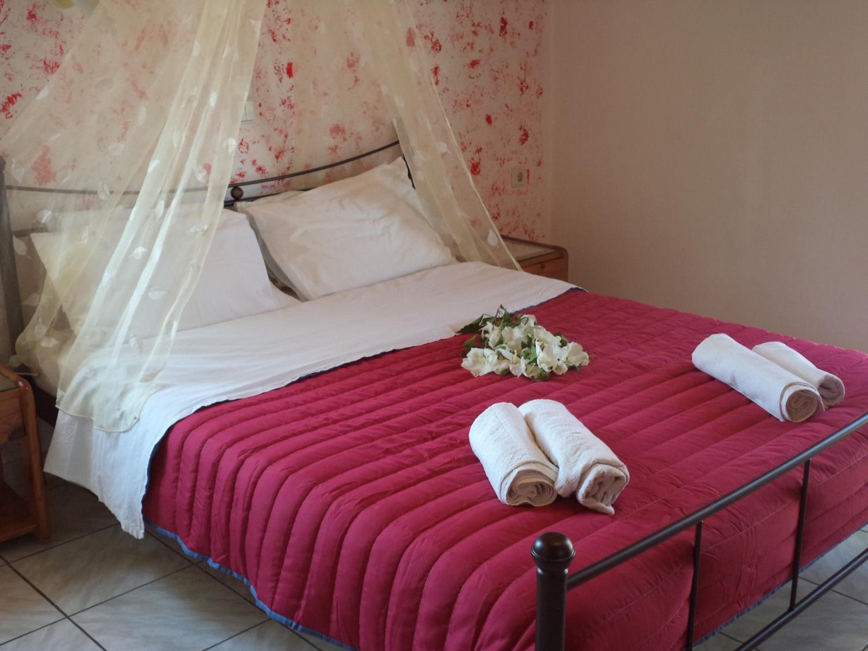 Homer Studio photo 2