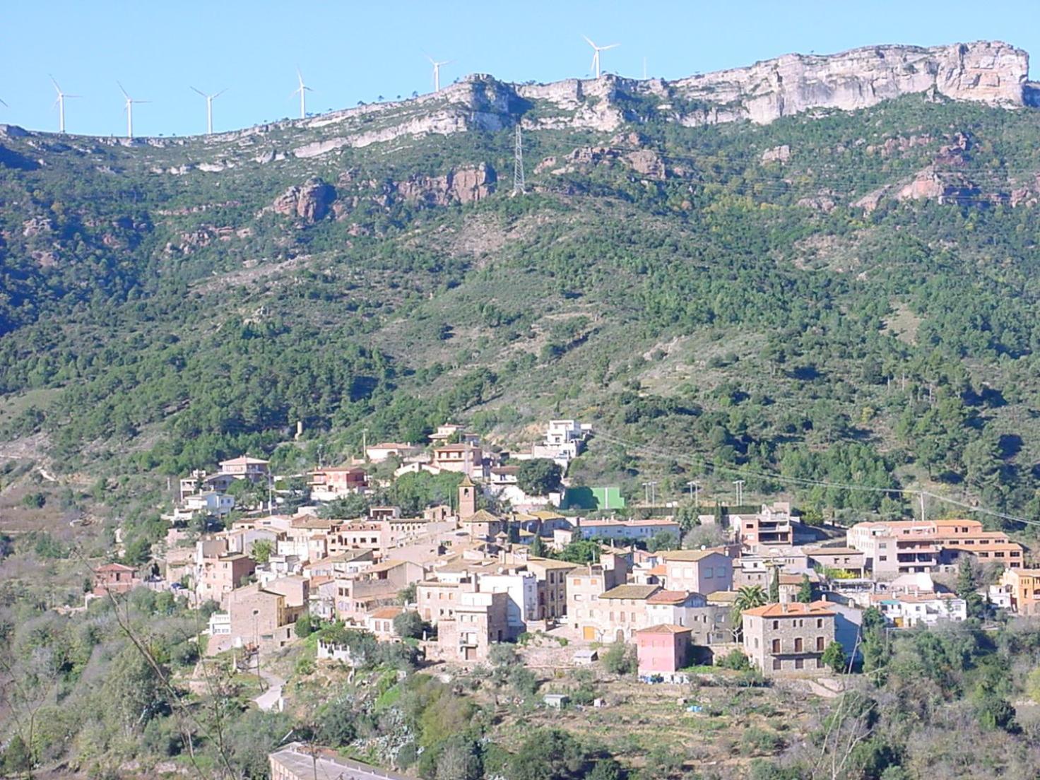 Photo 25