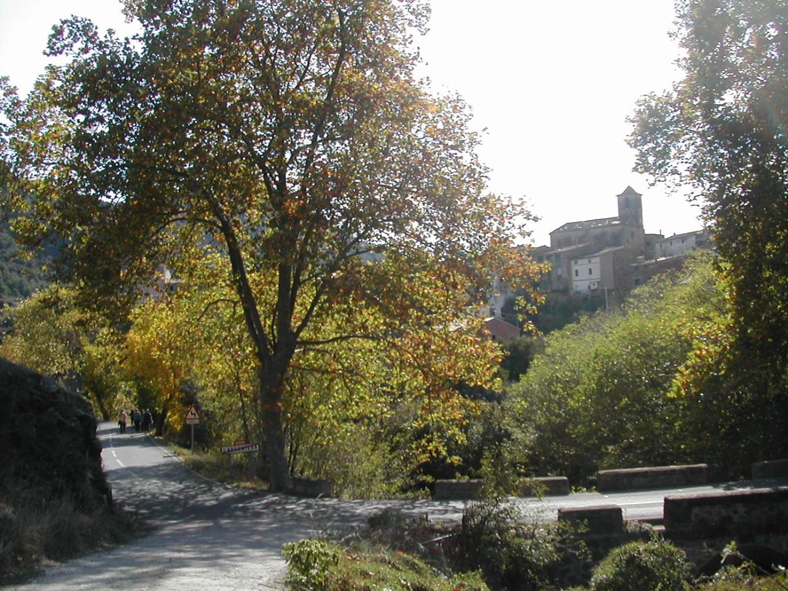 Photo 27