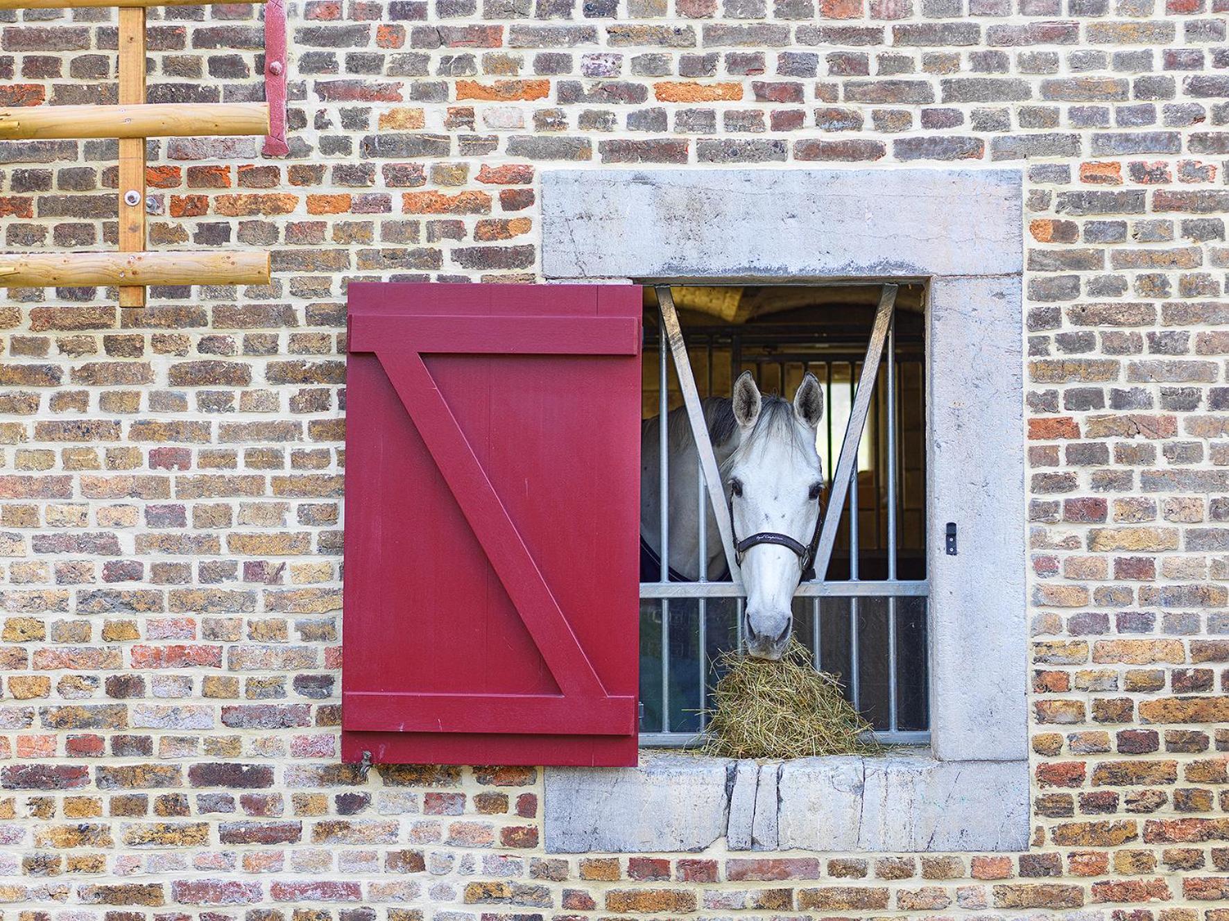 B&B Hoeve De Brieser