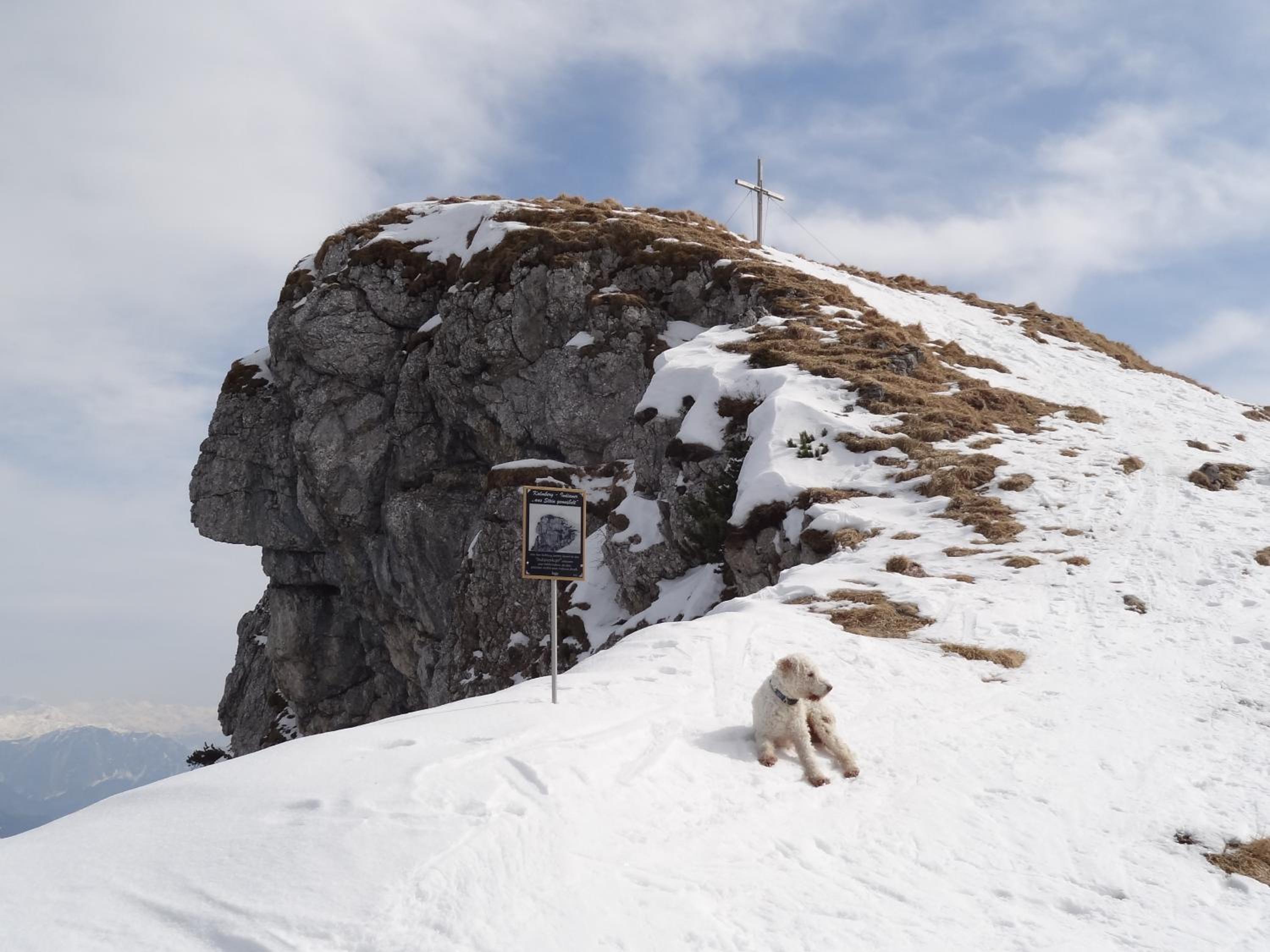 Photo 25
