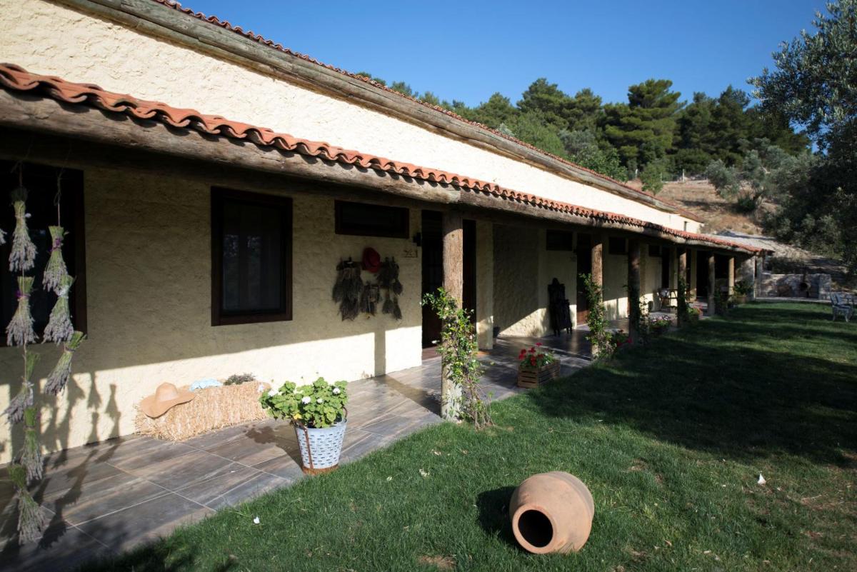 outdoor BBQ area
