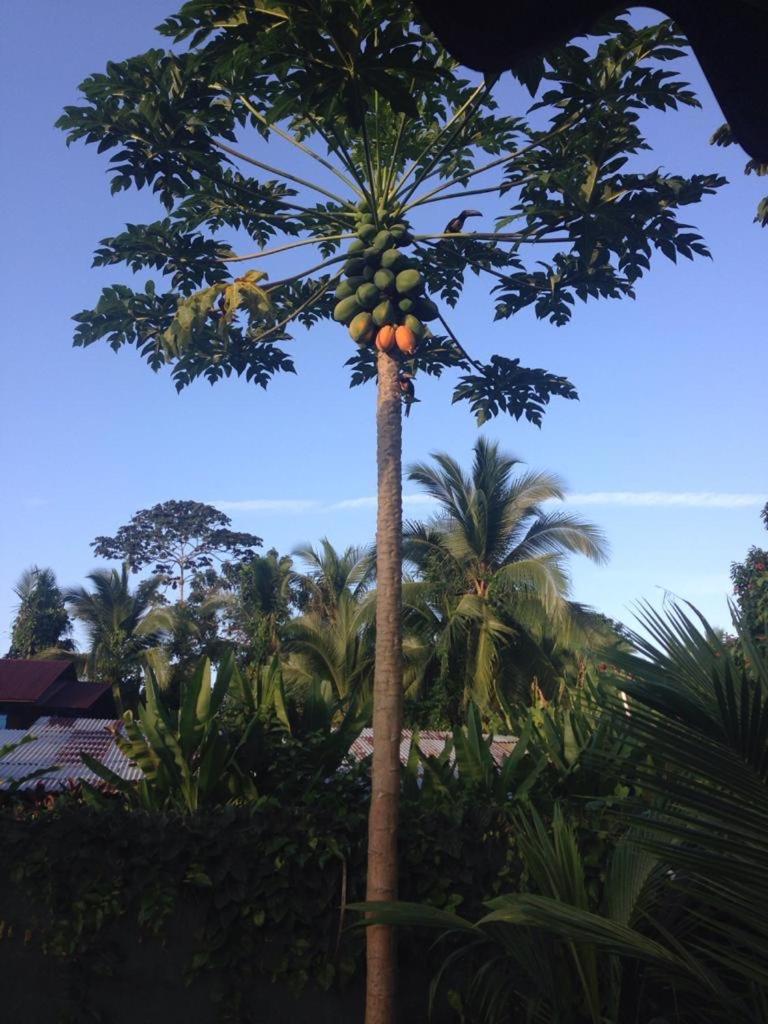 Hotel One Love Puerto Viejo