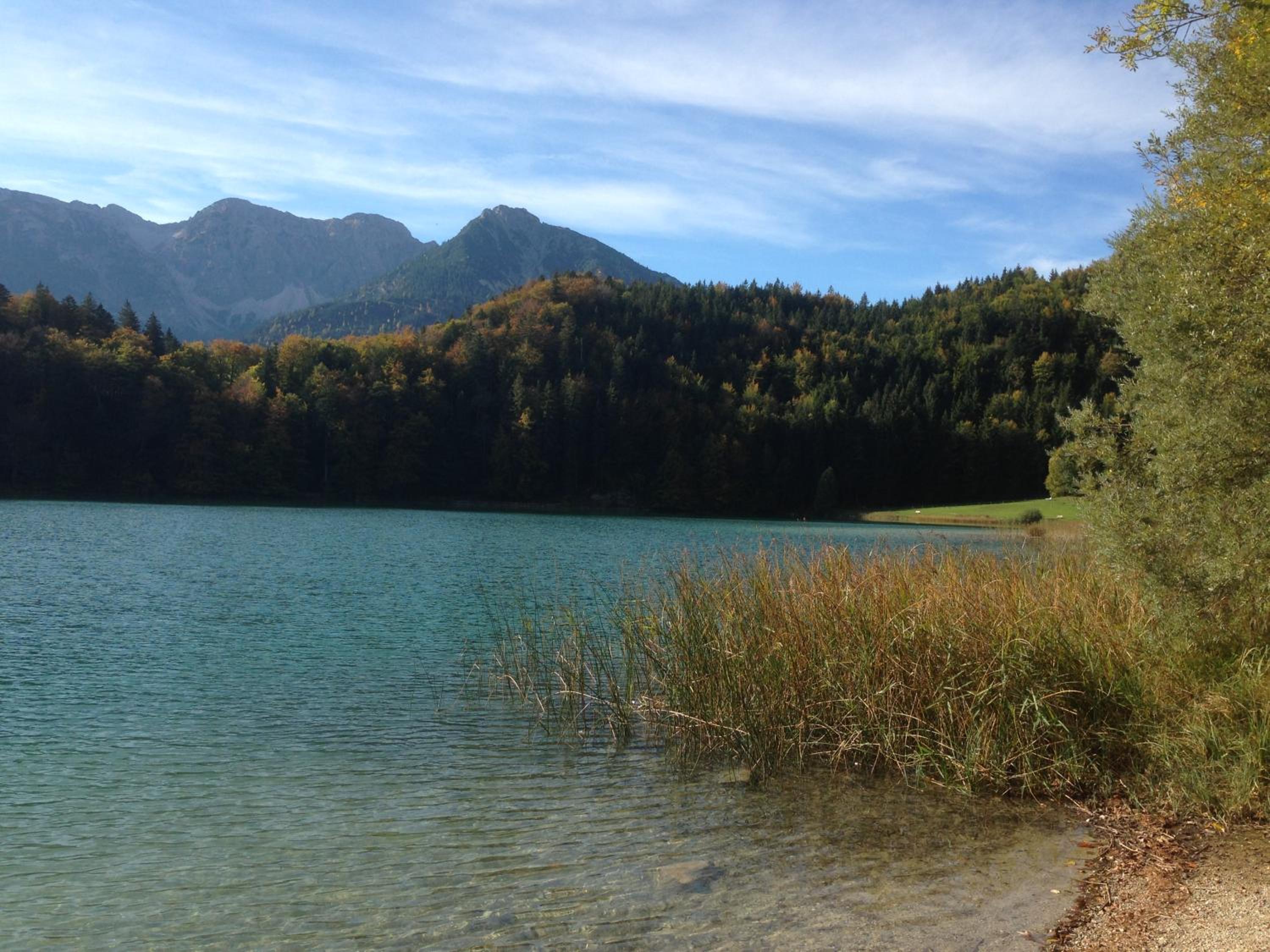 Photo 15