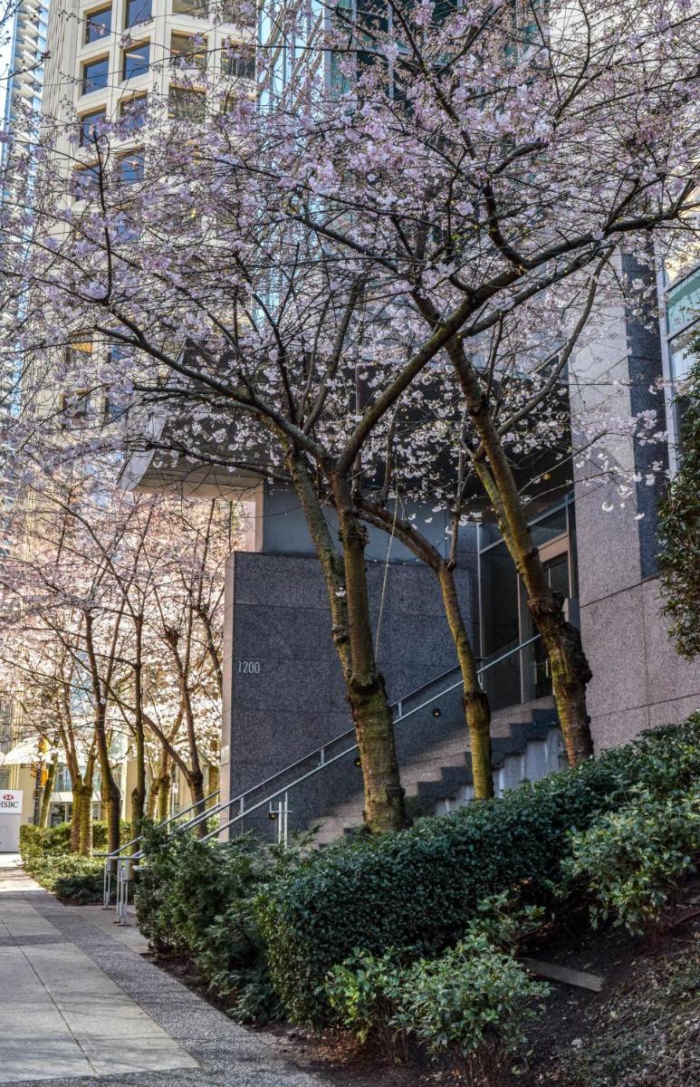Vancouver Extended Stay