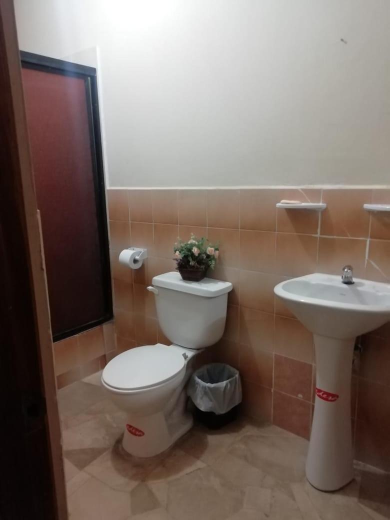 Photo 14