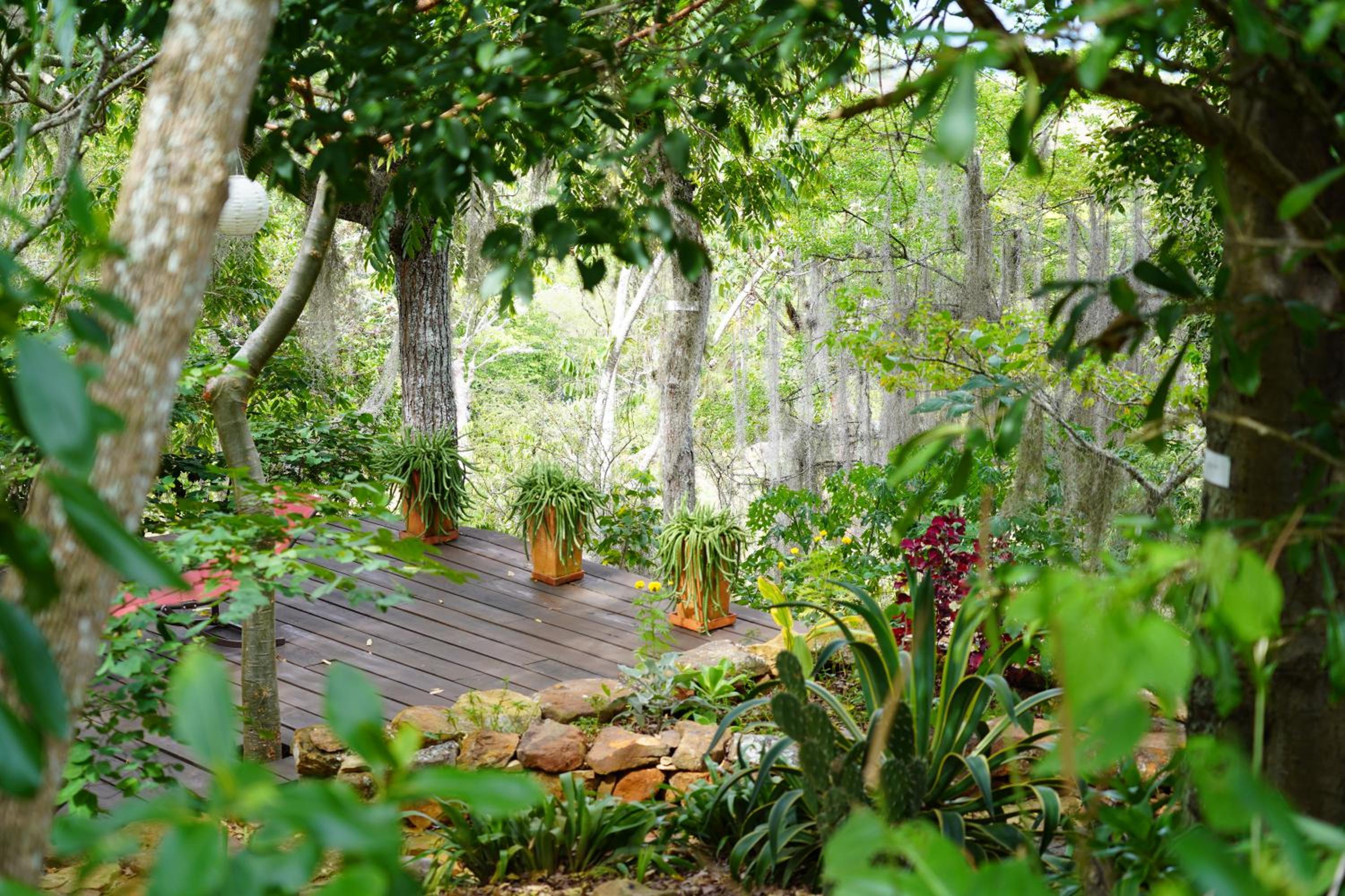 El Paraiso - B&B Finca San Vicente
