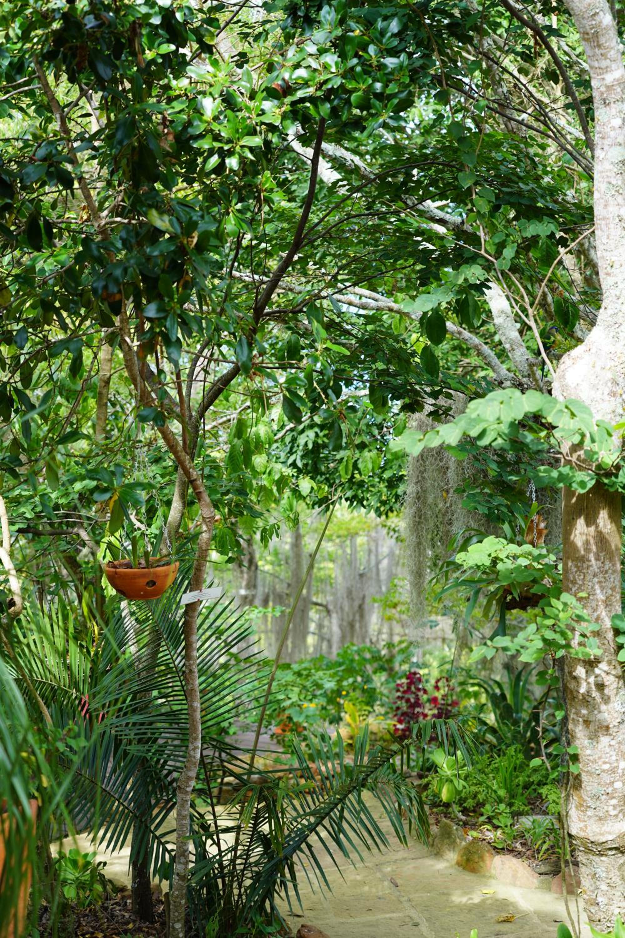El Paraiso - B&B Finca San Vicente
