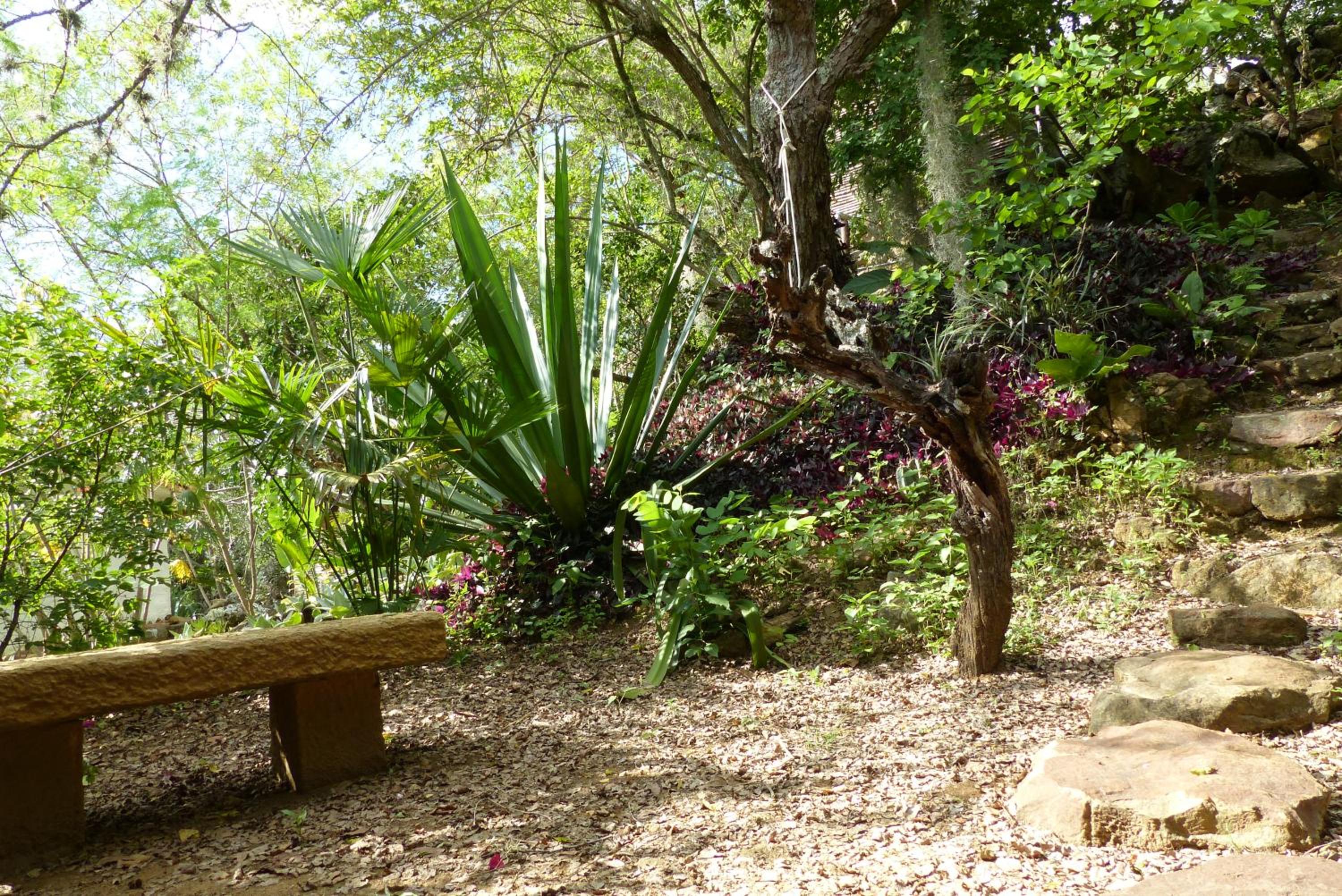 El Paraiso - B&B Finca San Vicente