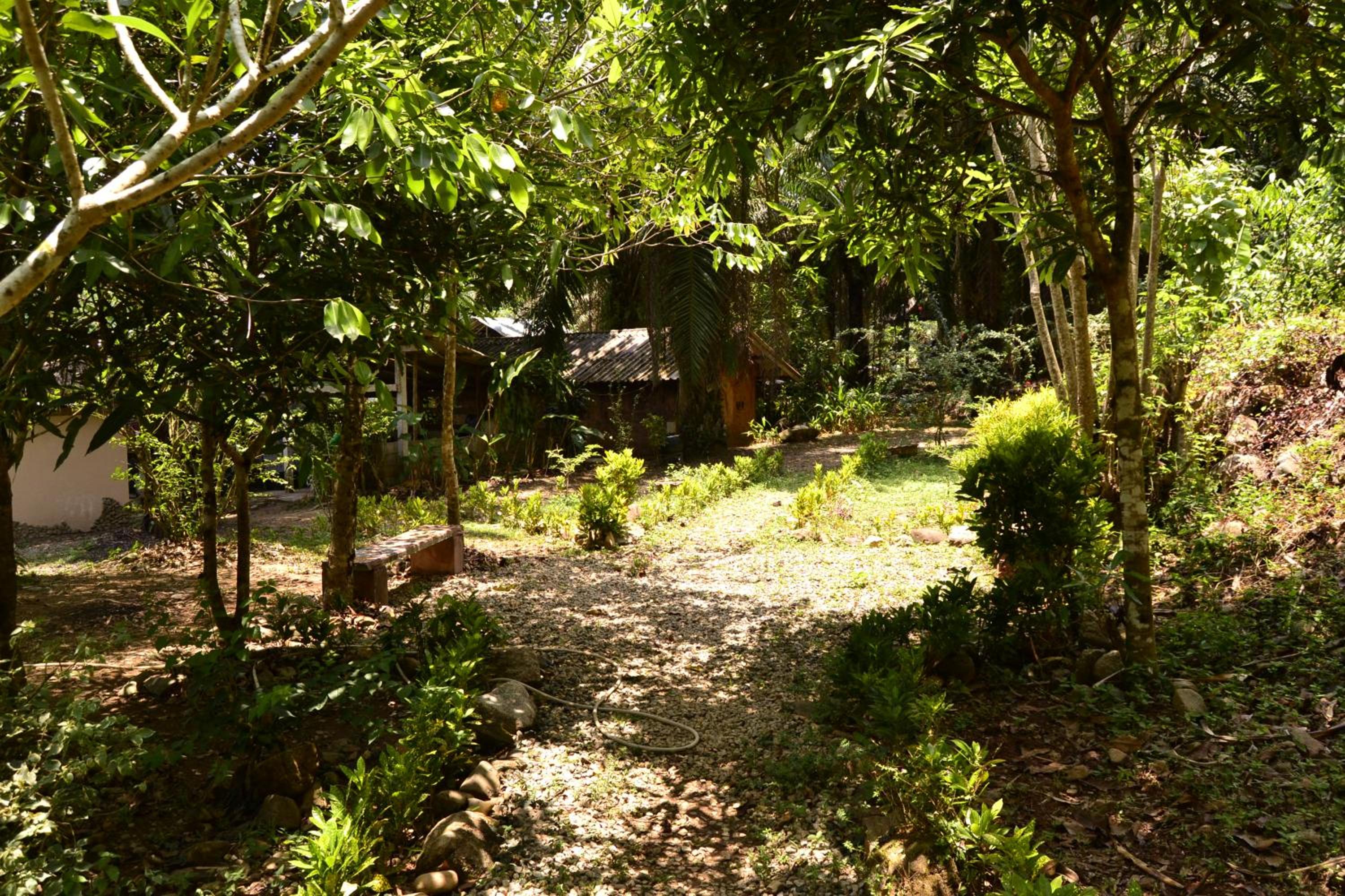 Photo 31