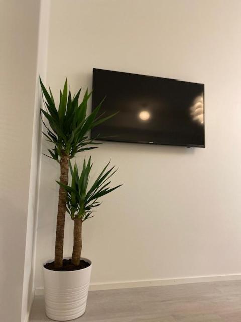 QnQ studio apartment