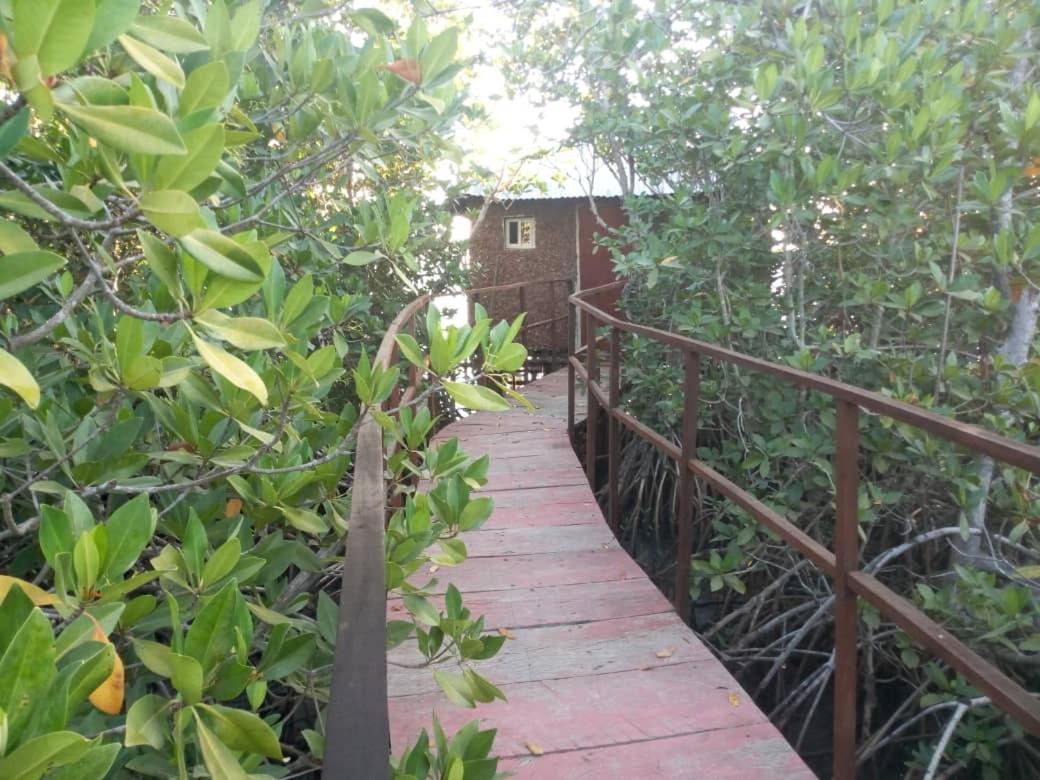 Bintang Bolong Lodge