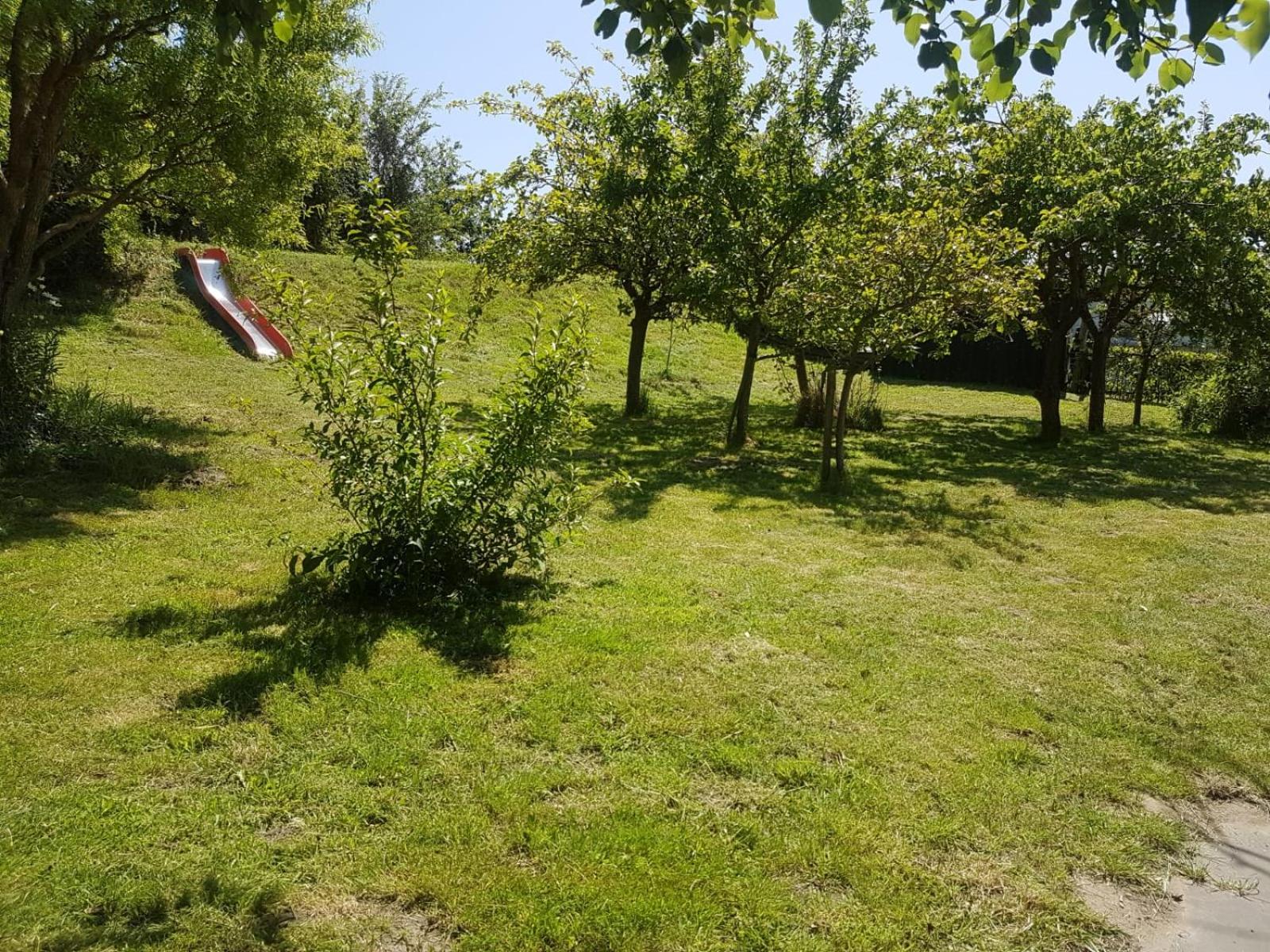 Photo 33