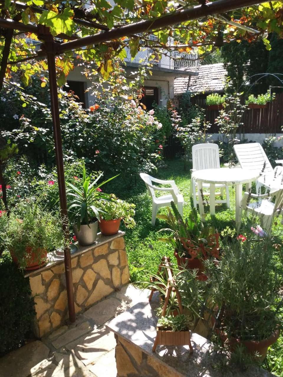 Modern&Cozy Bosnian house with GARDEN+FREE parking