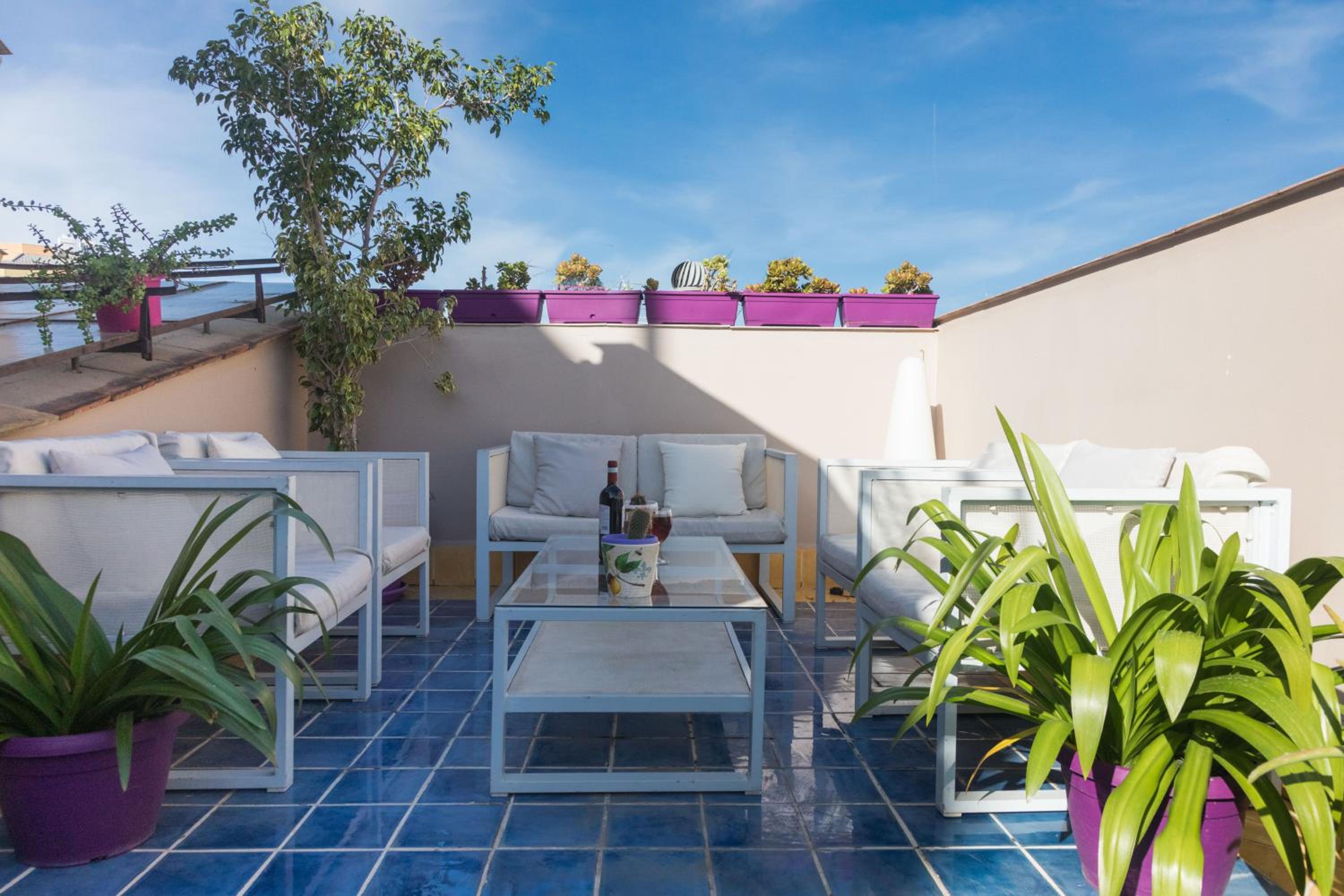 balance & terrace