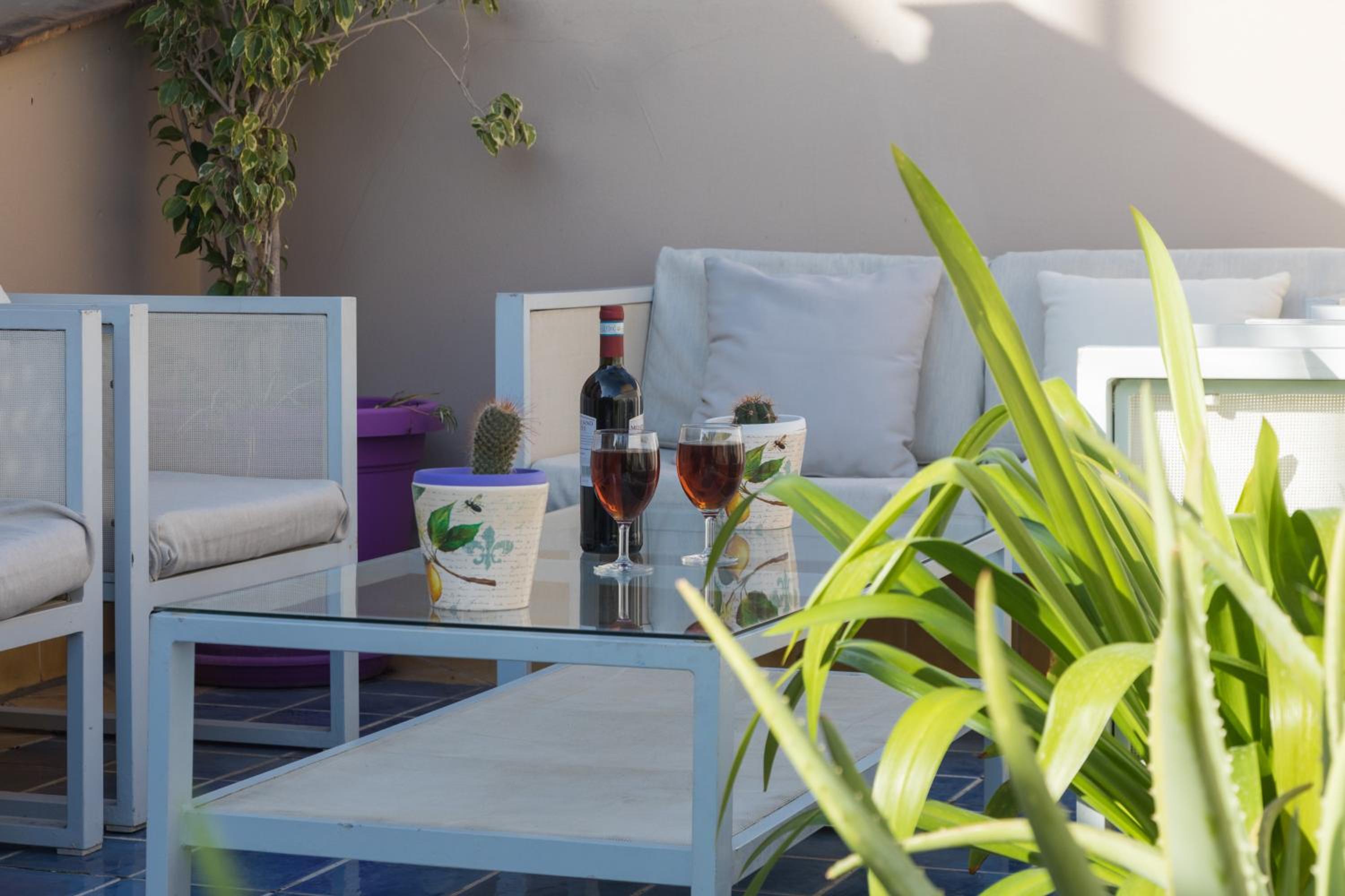 balance & terrace