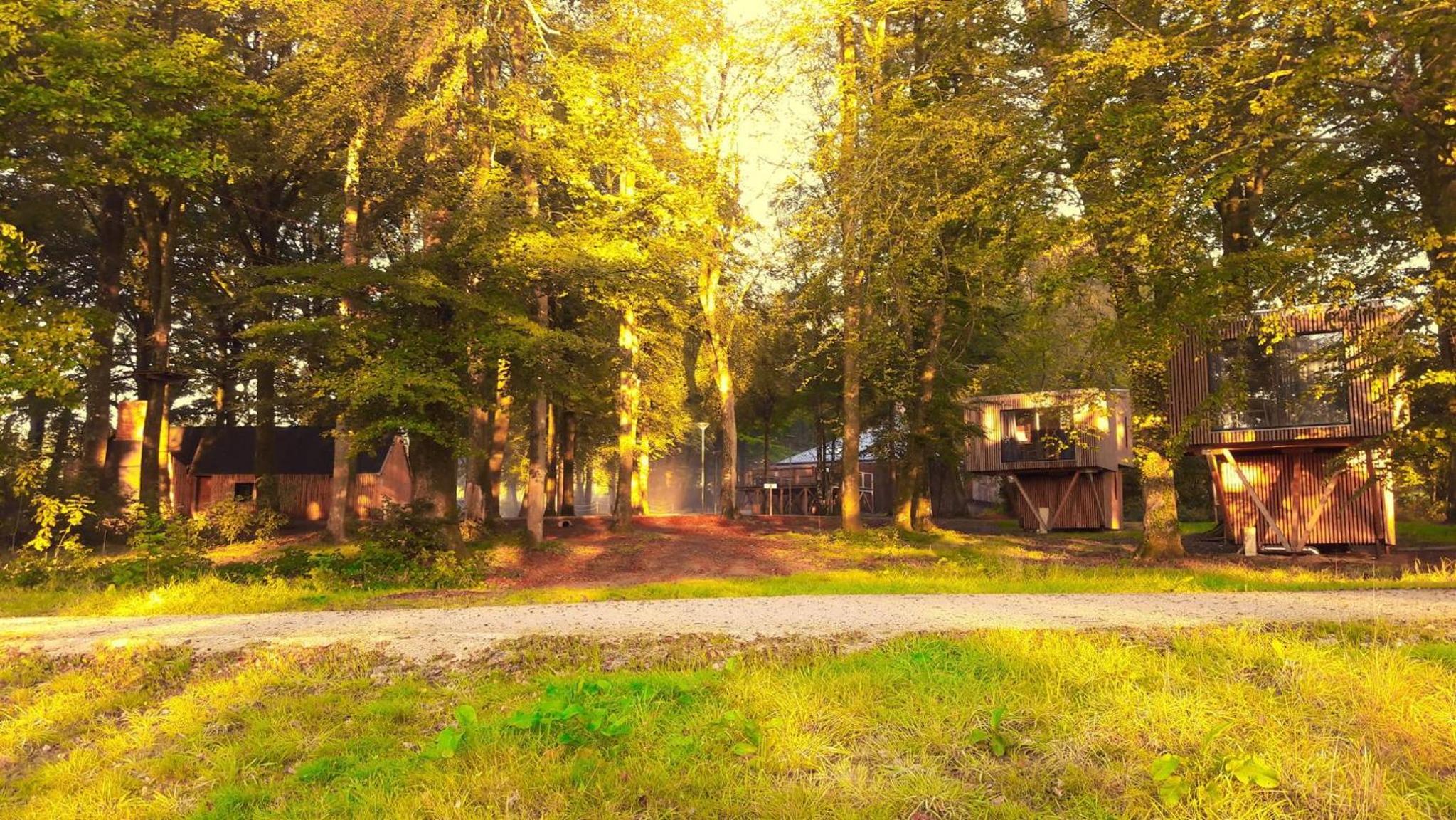 L'étape en forêt