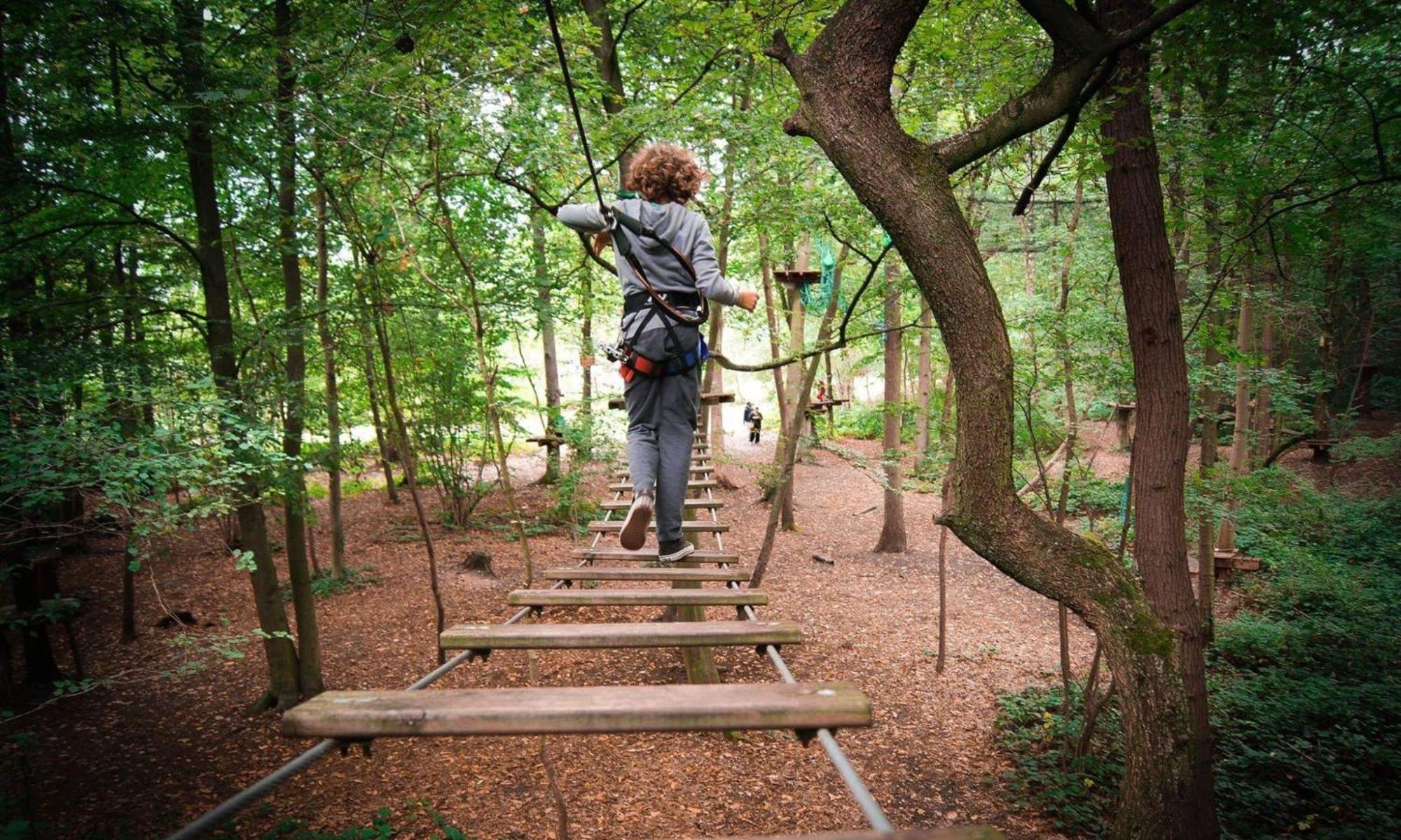 L'étape en forêt