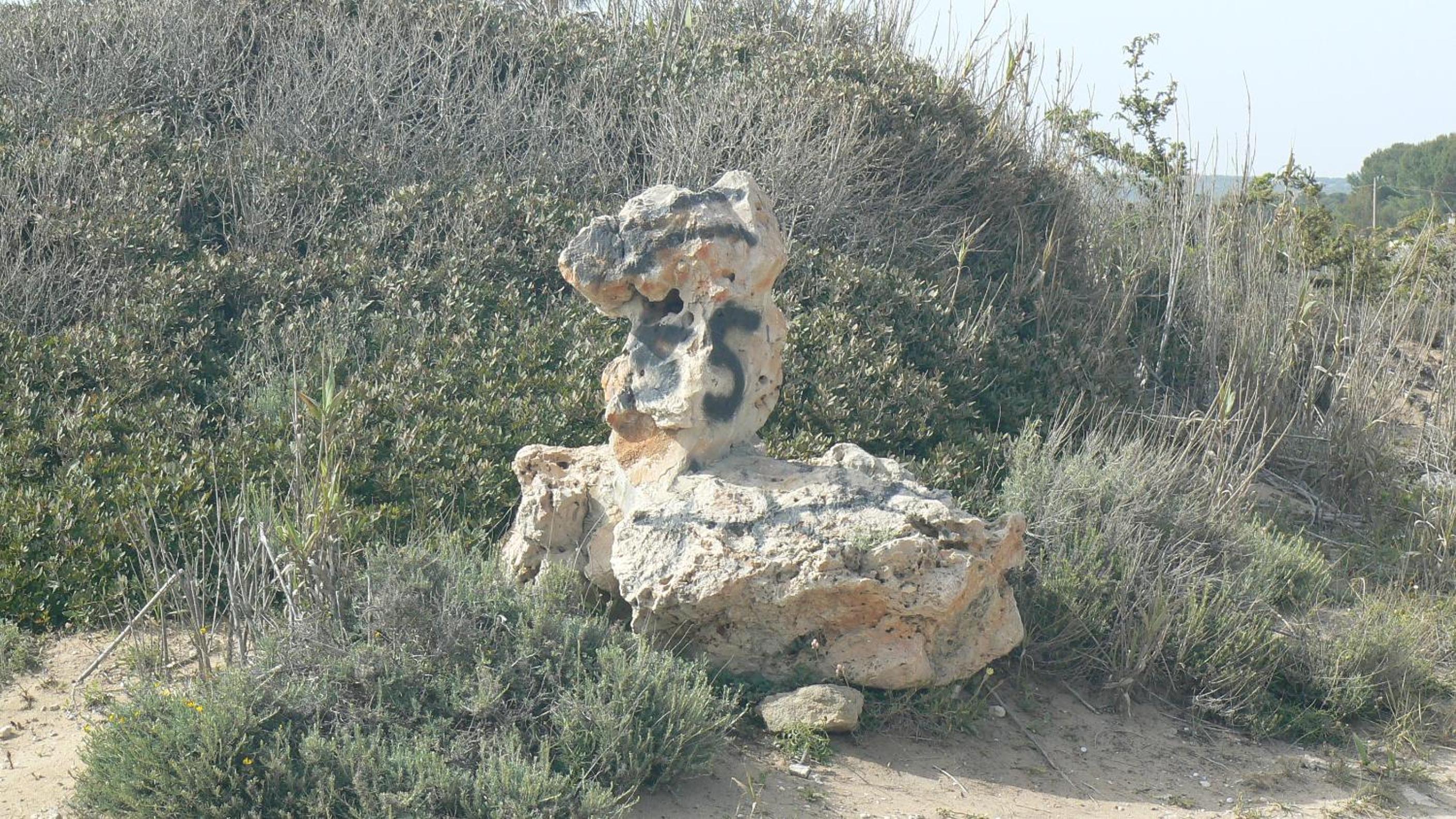 Photo 31