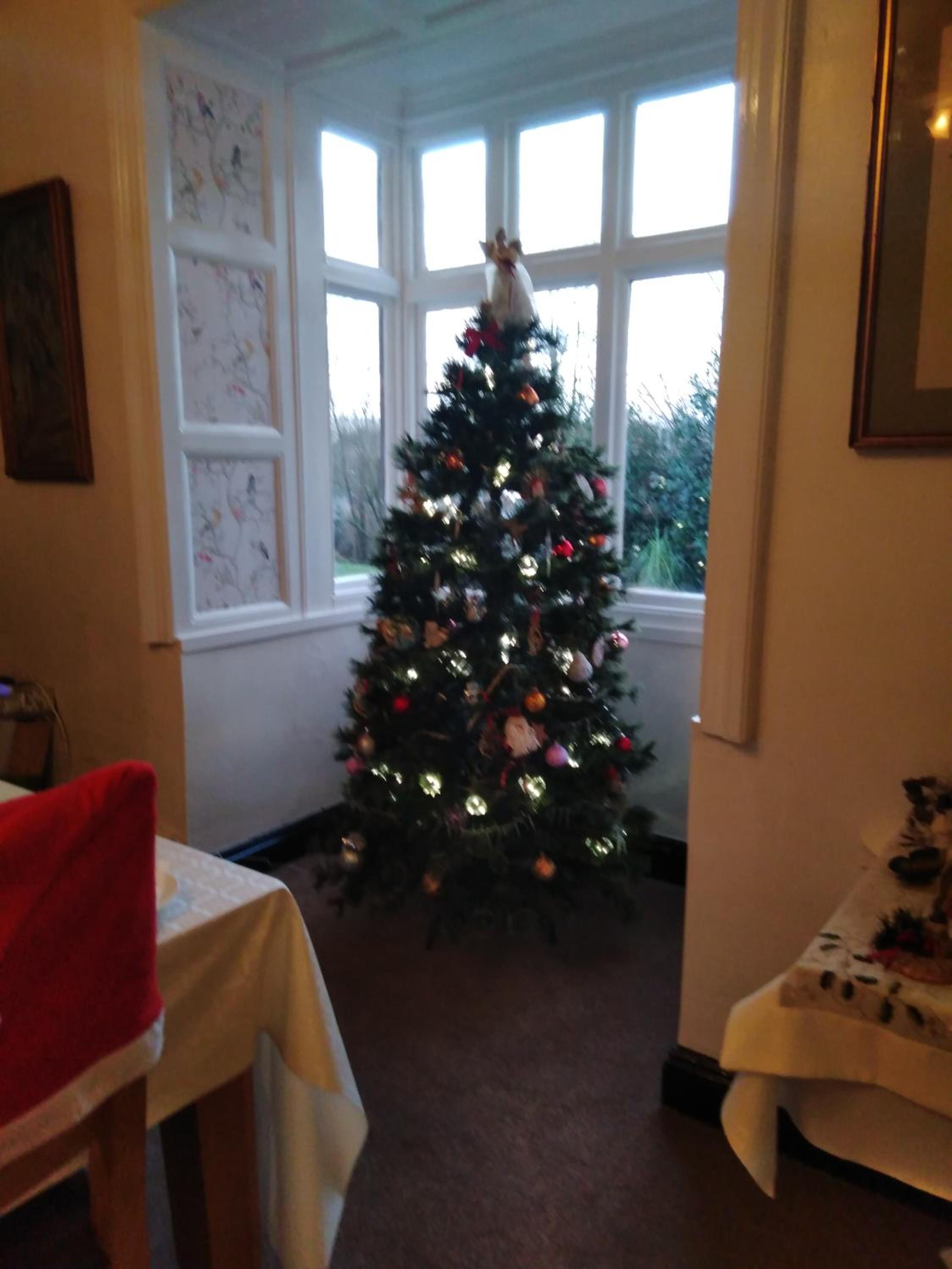 Photo 10