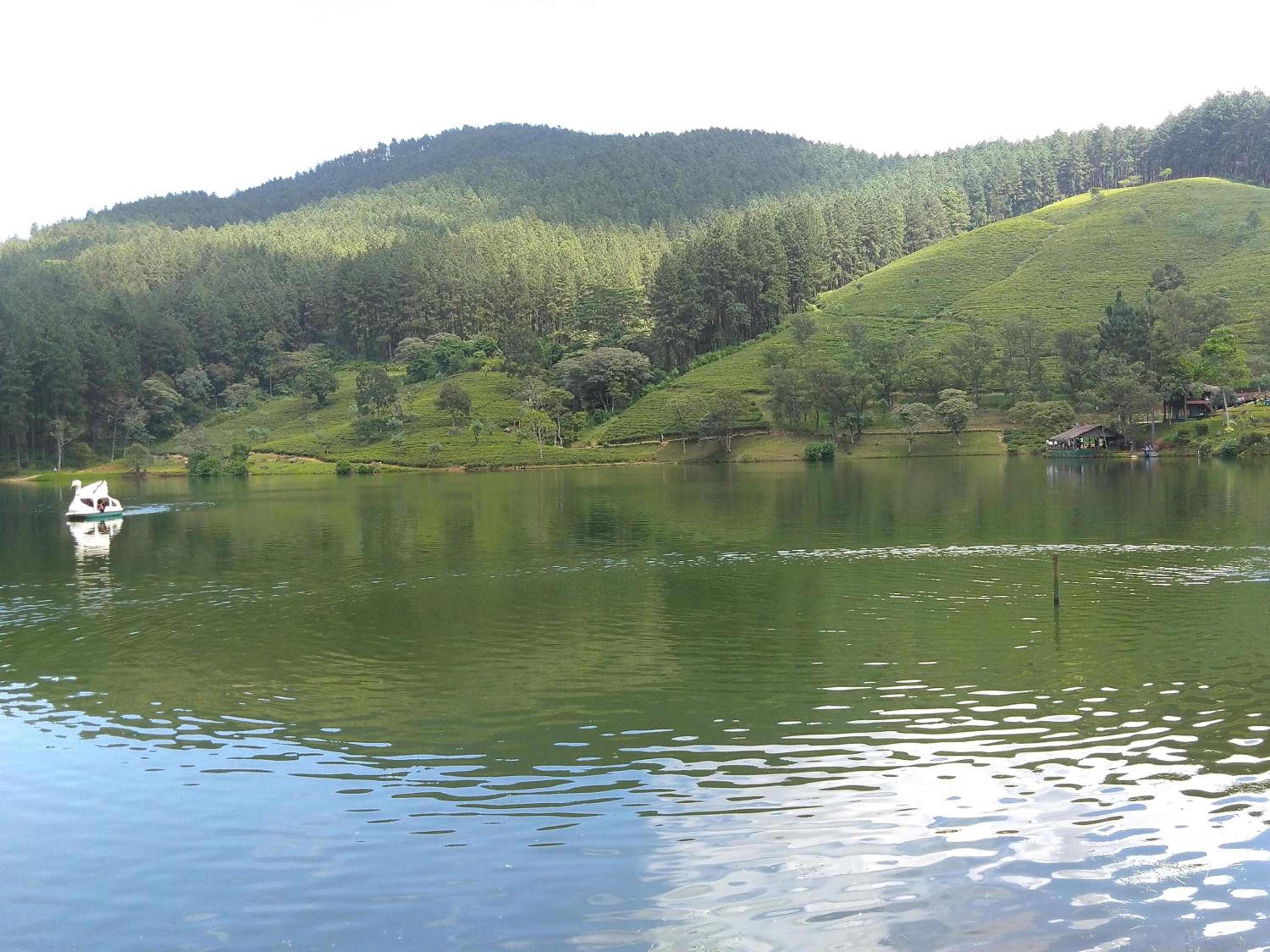 Photo 43