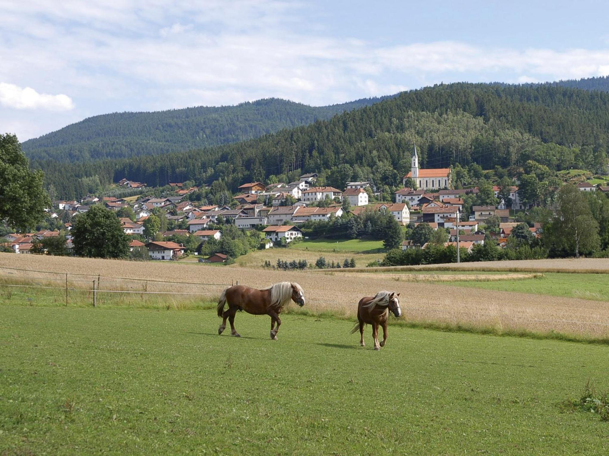 Pension Weiß