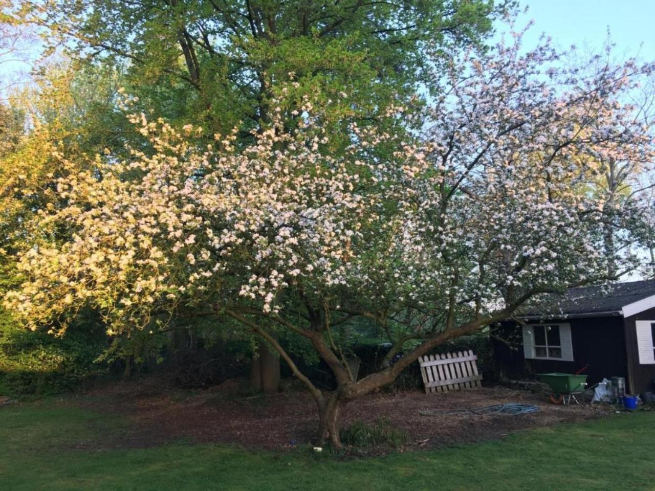 Rose House B&B — photo 45