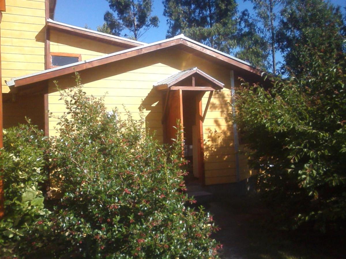Cabanas Valdivia - Tres Espinos - camino a Niebla