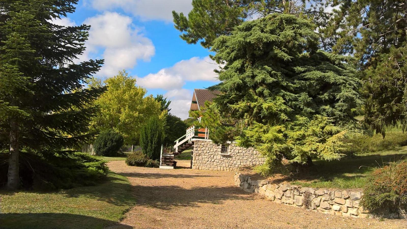 Photo 25