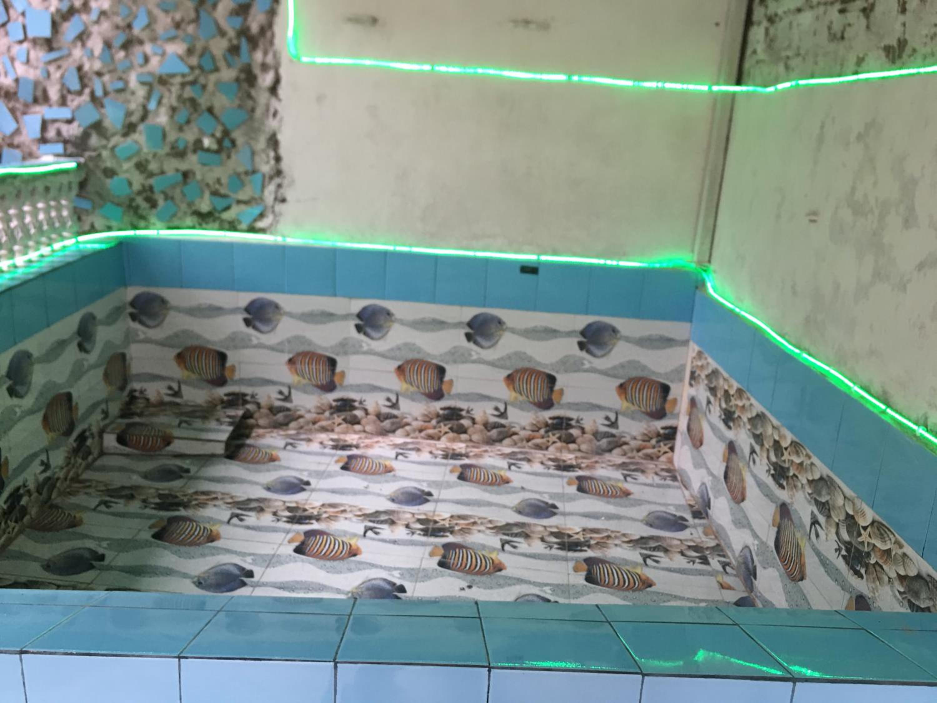 BnB Royal Tourist House Near Tourist Bus Station in Thamel