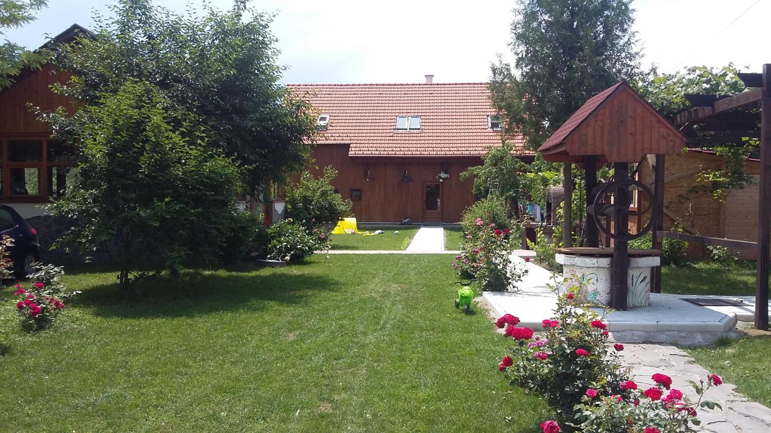 Photo 11