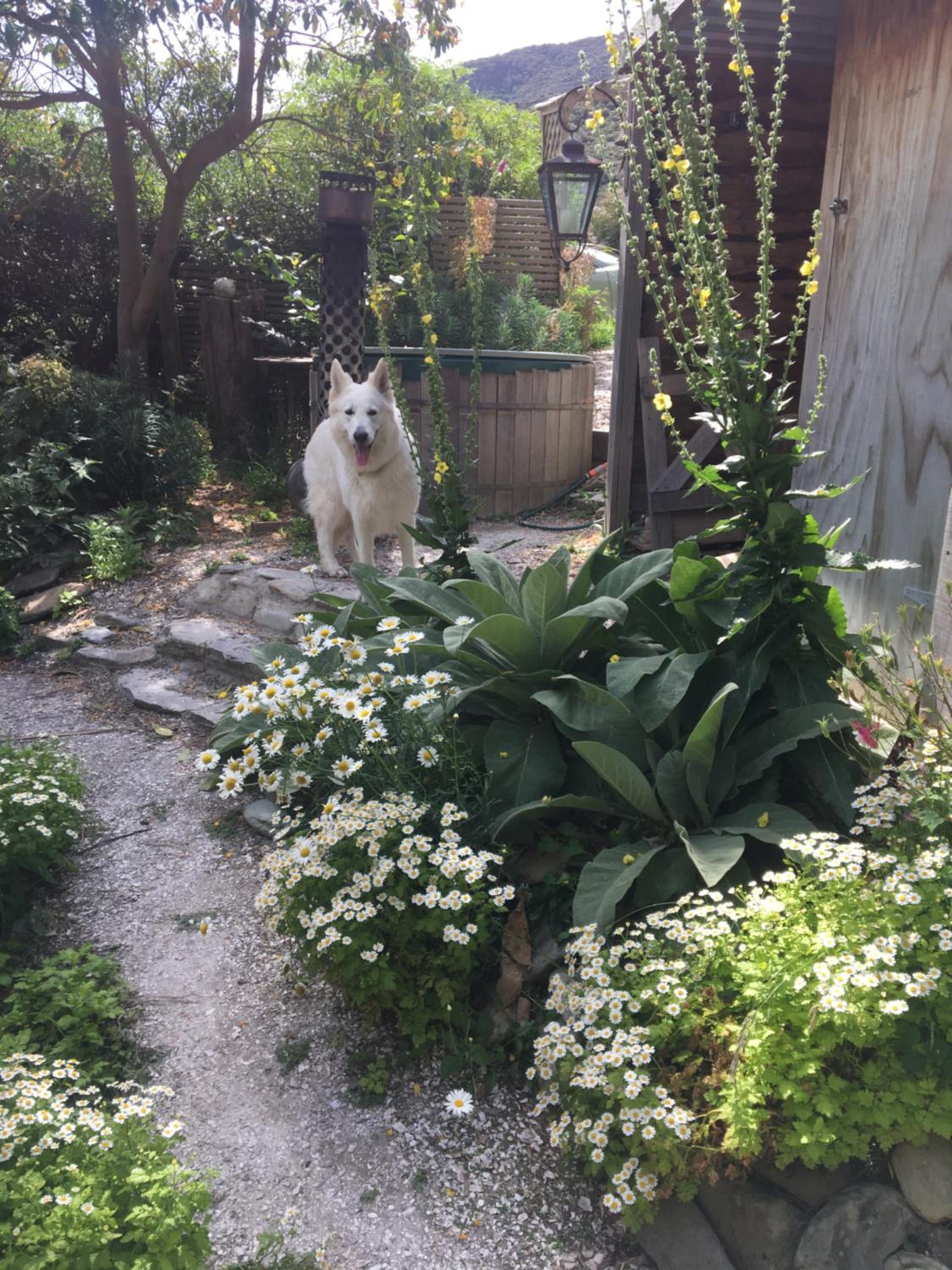 Photo 12