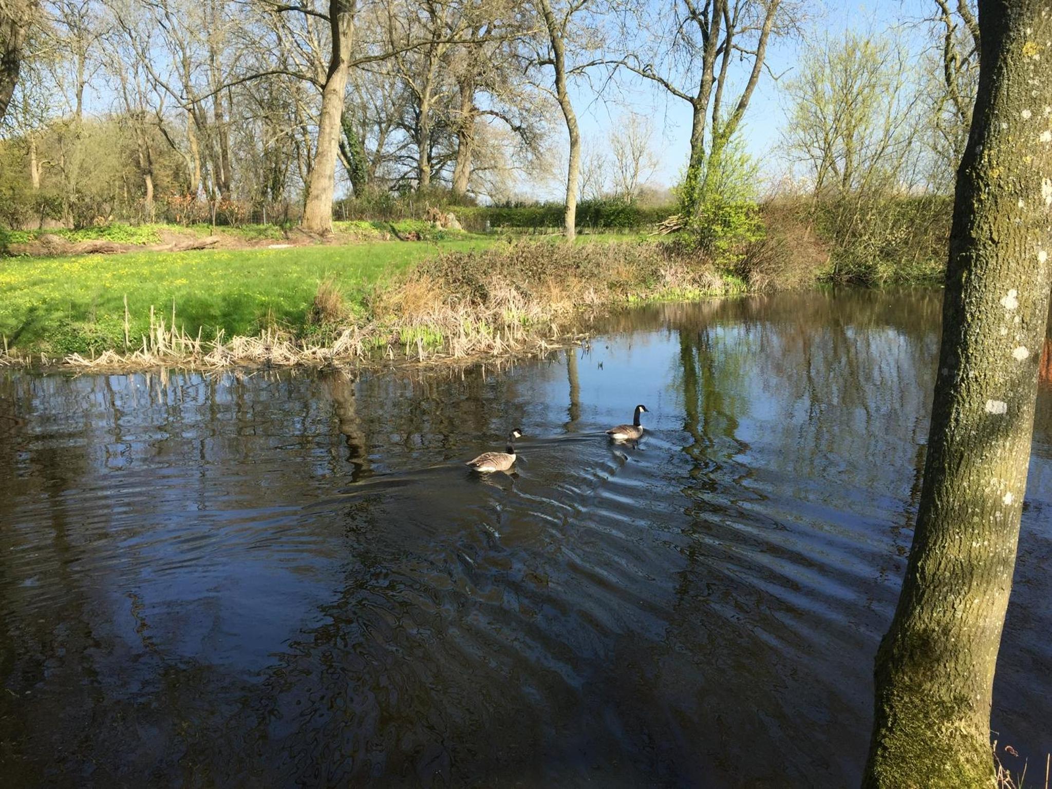 Photo 29