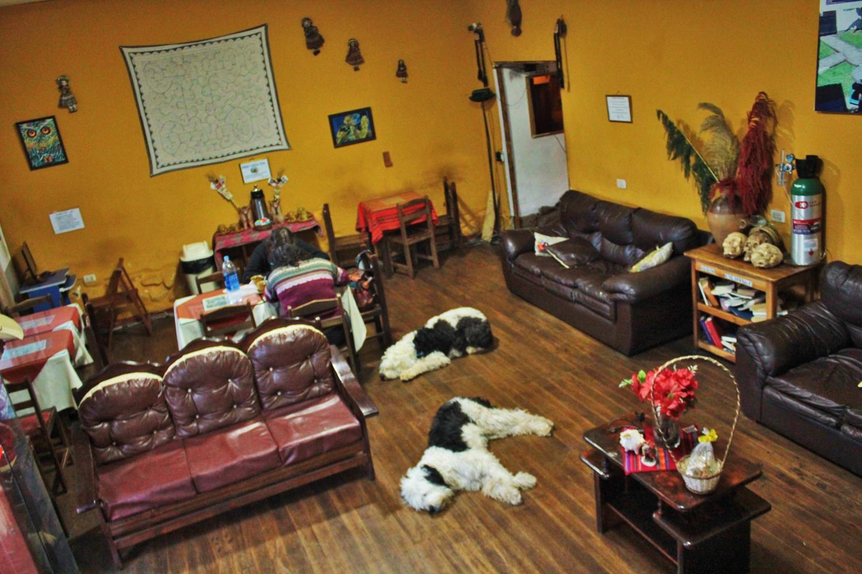 Vip House