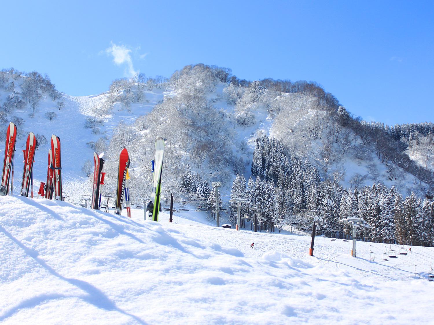 Ichirino Kogen Hotel Roan