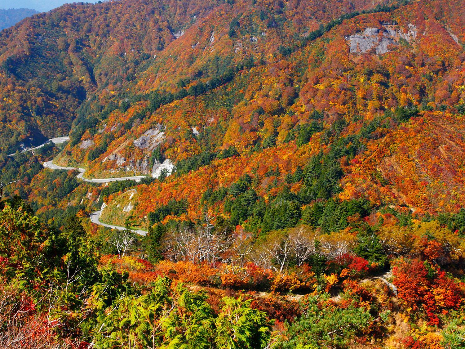 Ichirino Kogen Hotel Roan