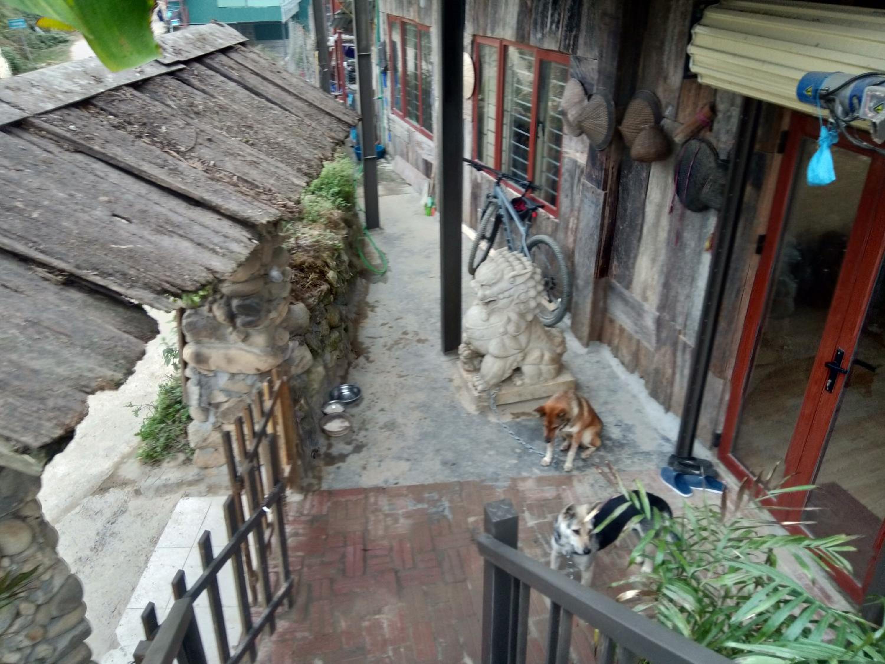Amica Sapa Backpackers Hostel