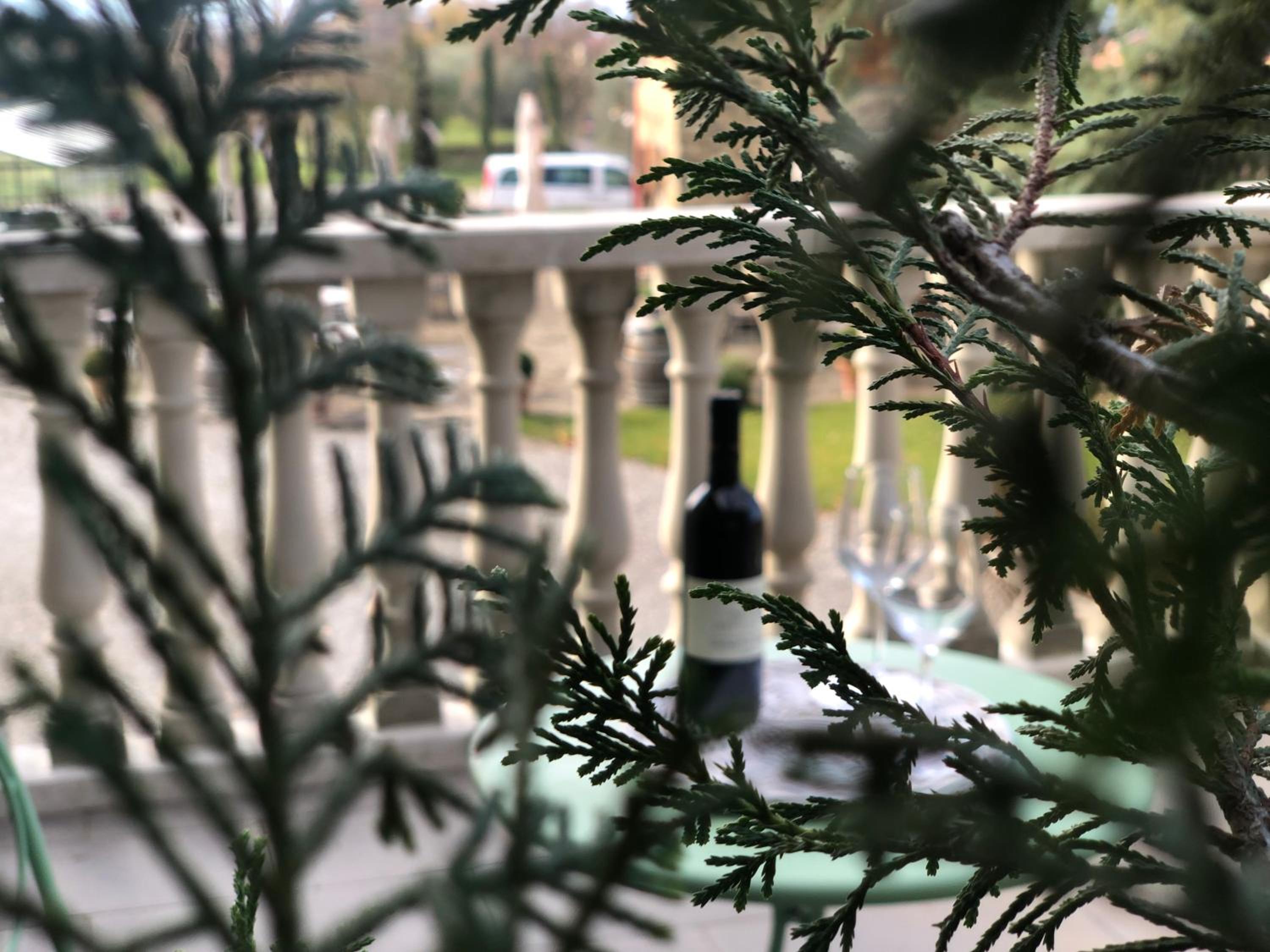 La Cantina Relais - Fattoria Il Cipresso