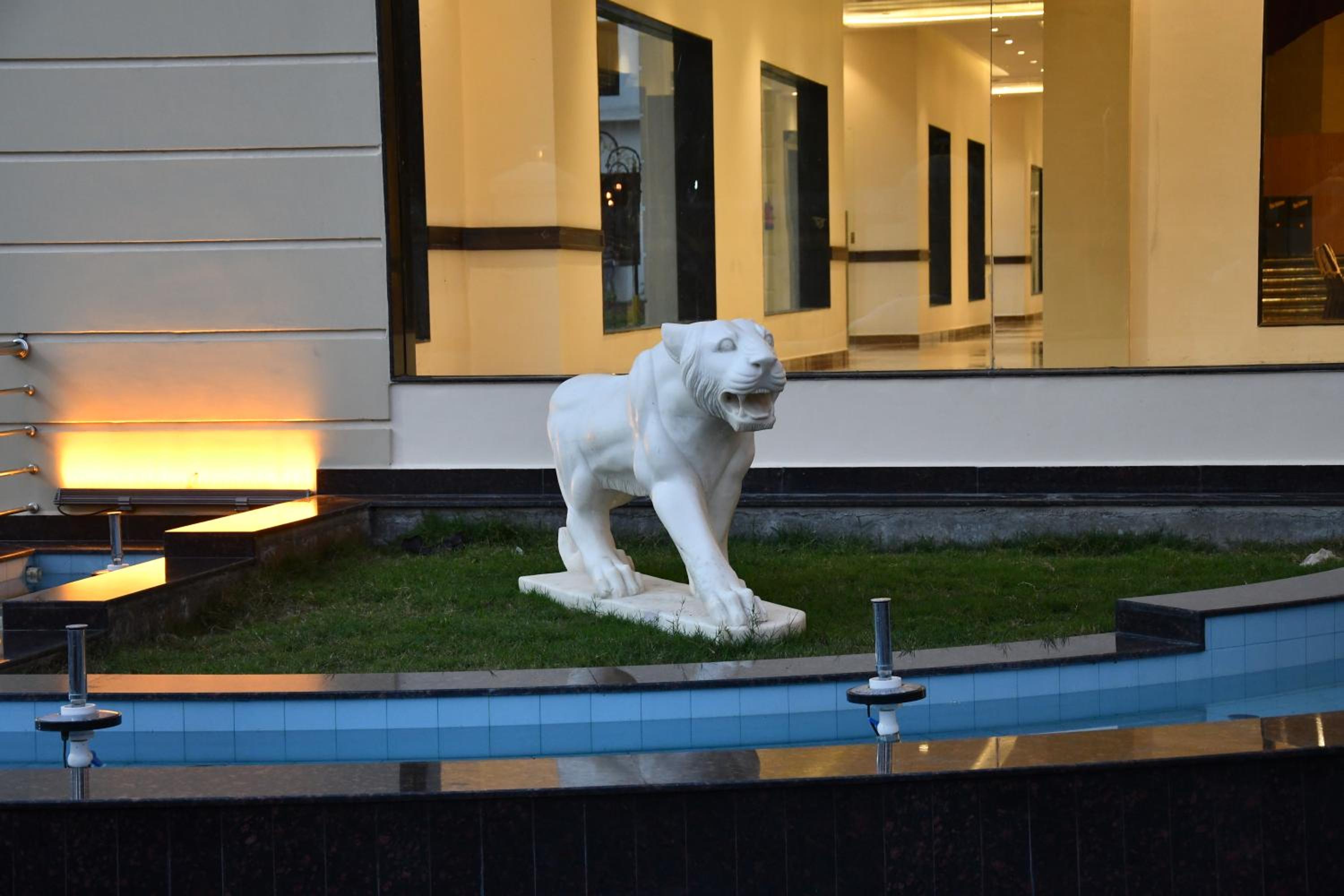 children's play area