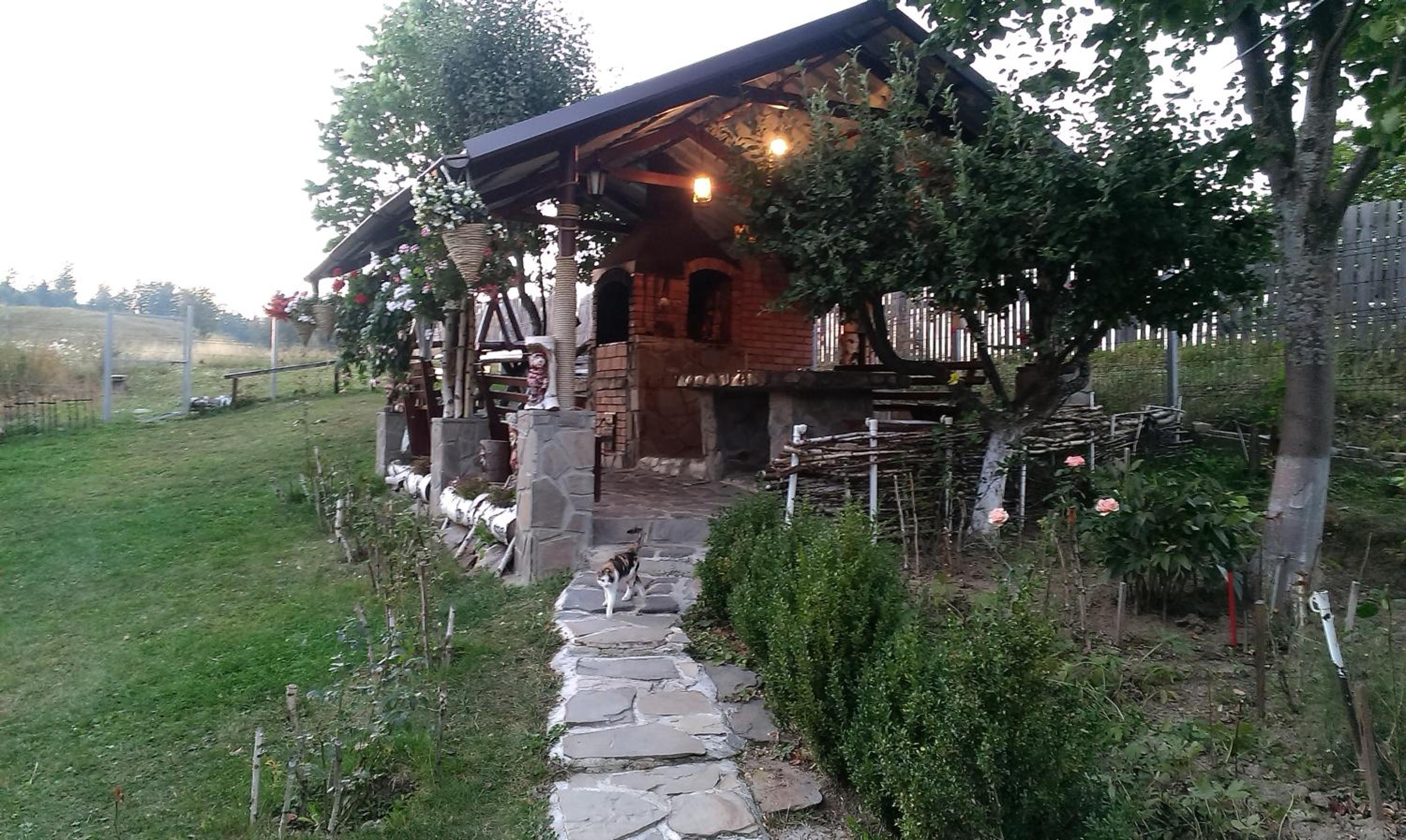 Photo 18
