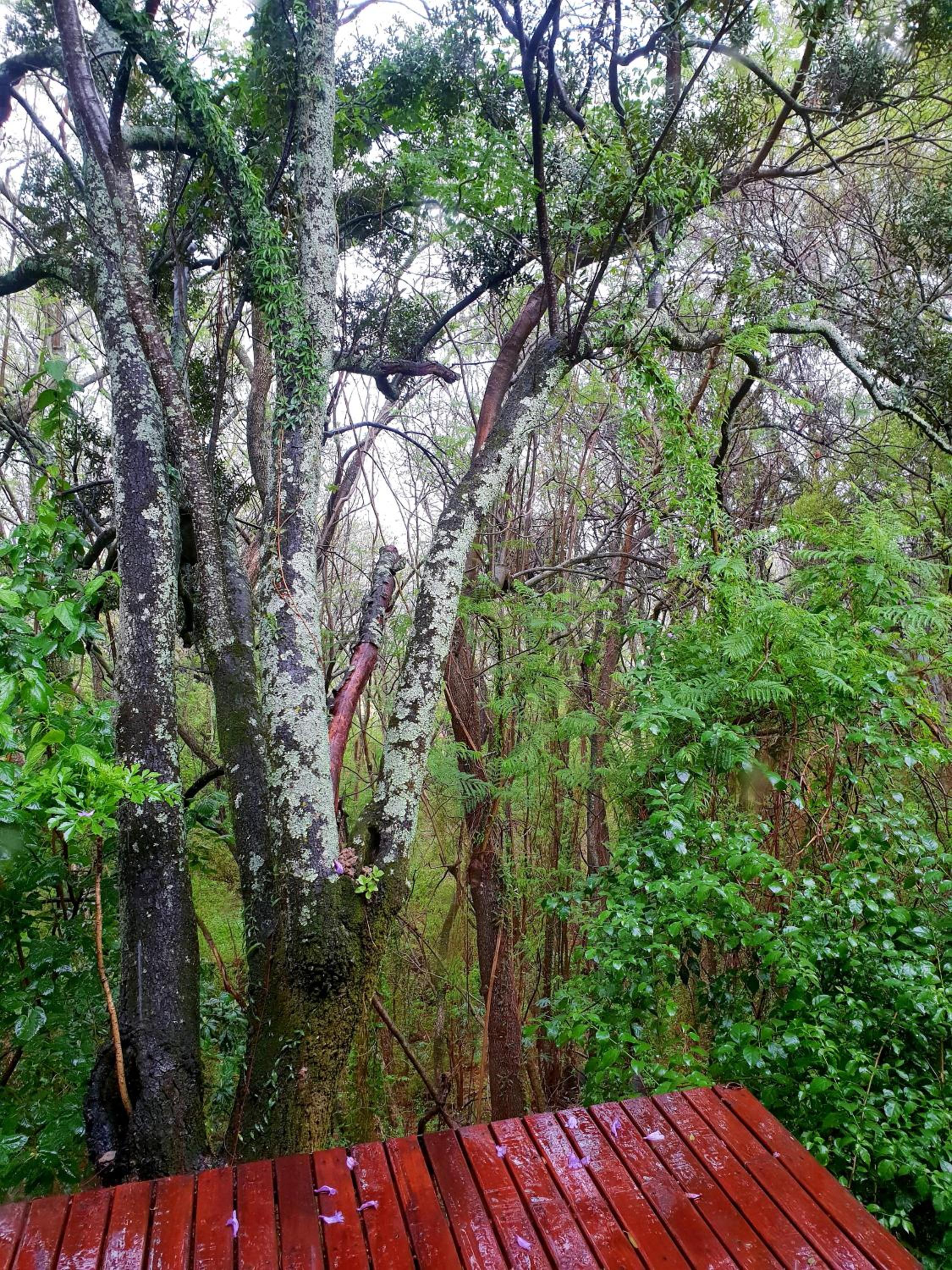 Haggards on Hilldrop, photo 37