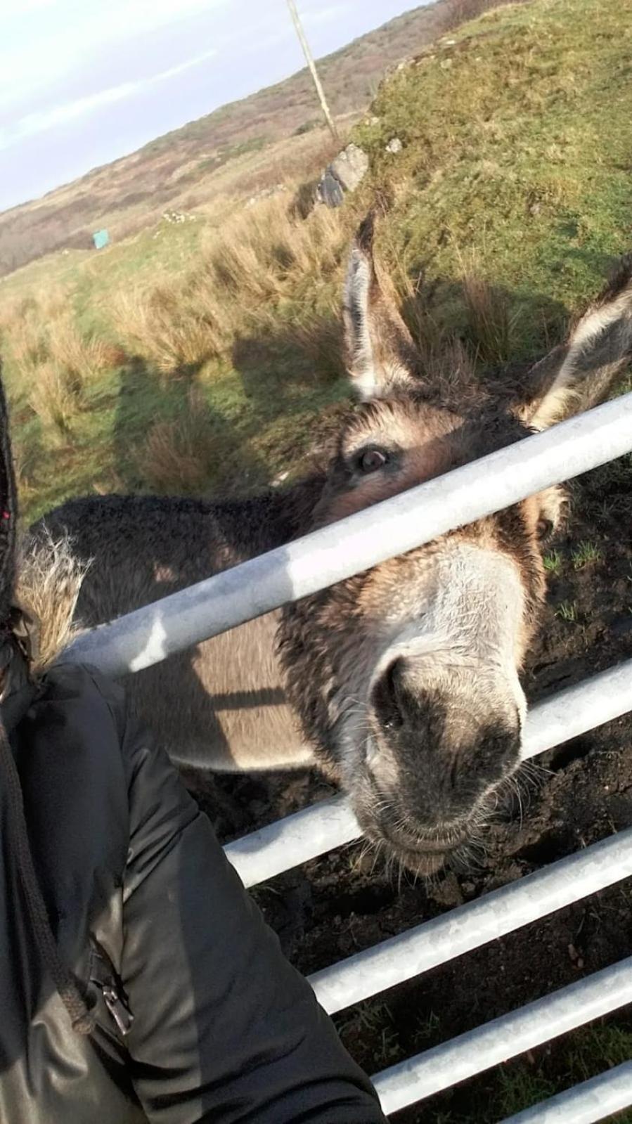 Granny Dens en Donegal