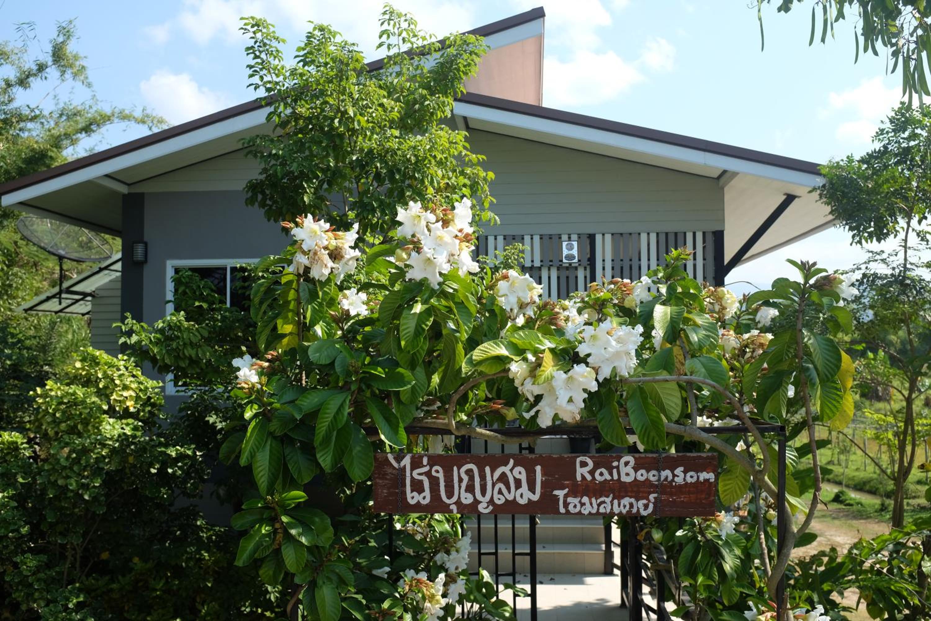 Rai Boonsom
