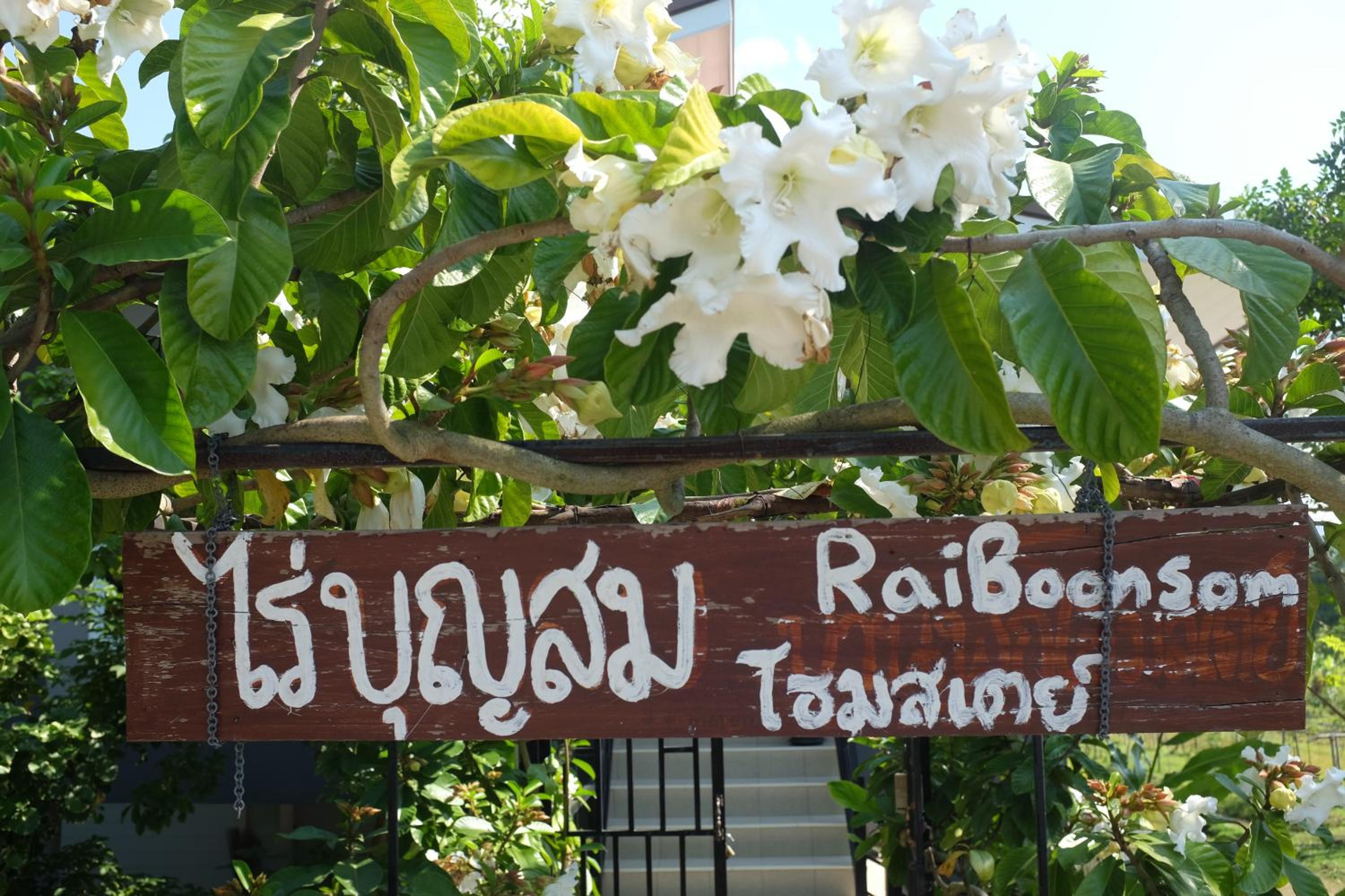 Rai Boonsom