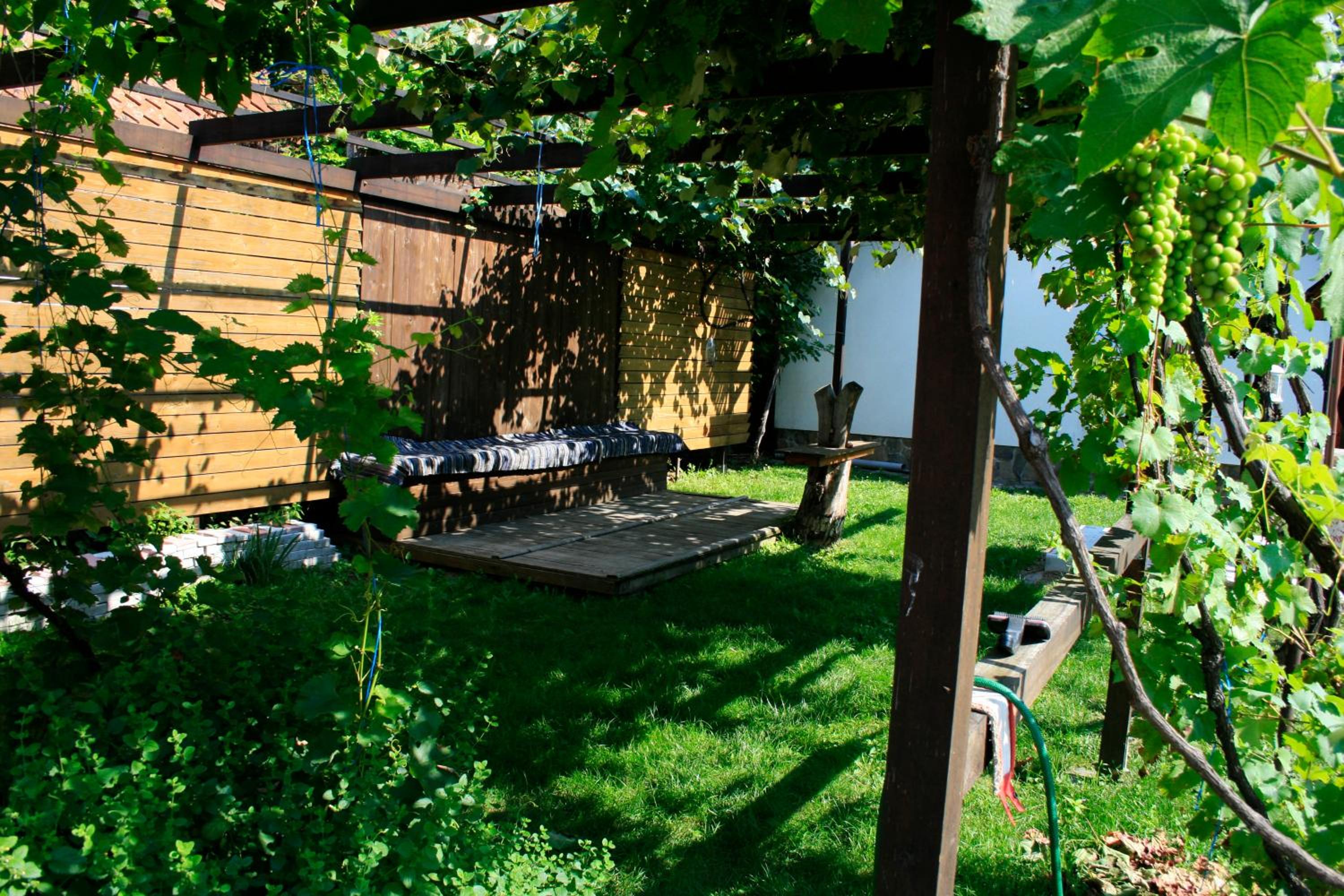 Photo 41
