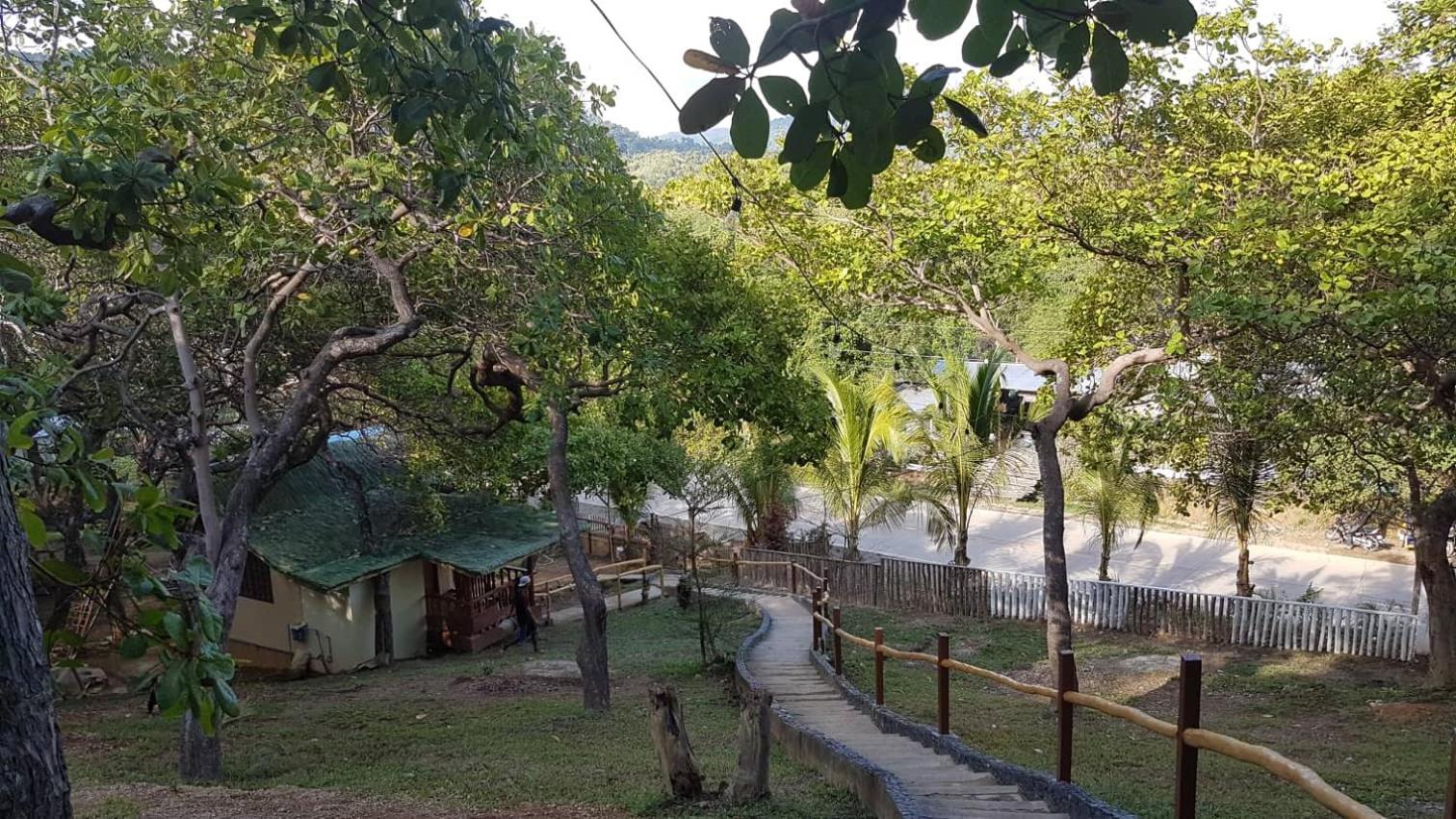 CED Garden, 엘니도 - 11