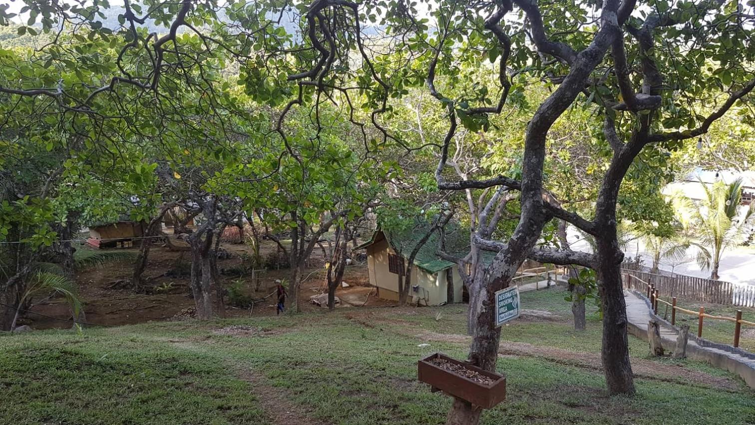 CED Garden