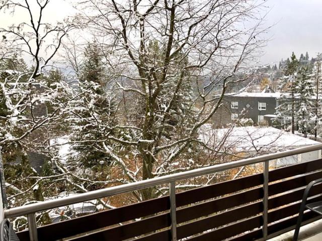 FeWo Kappi Winterberg