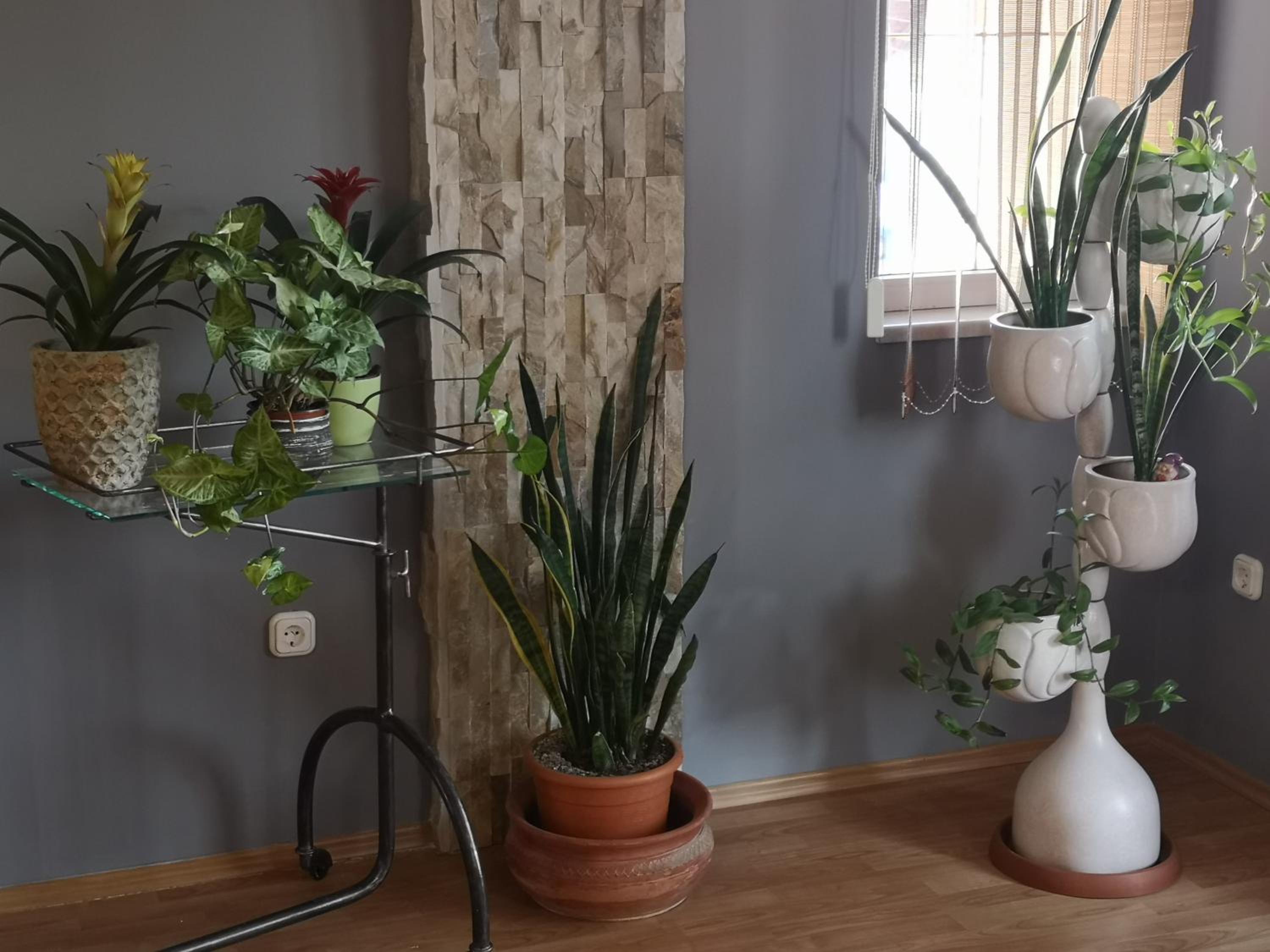 Hotello Apartmanház és Panzió view 4