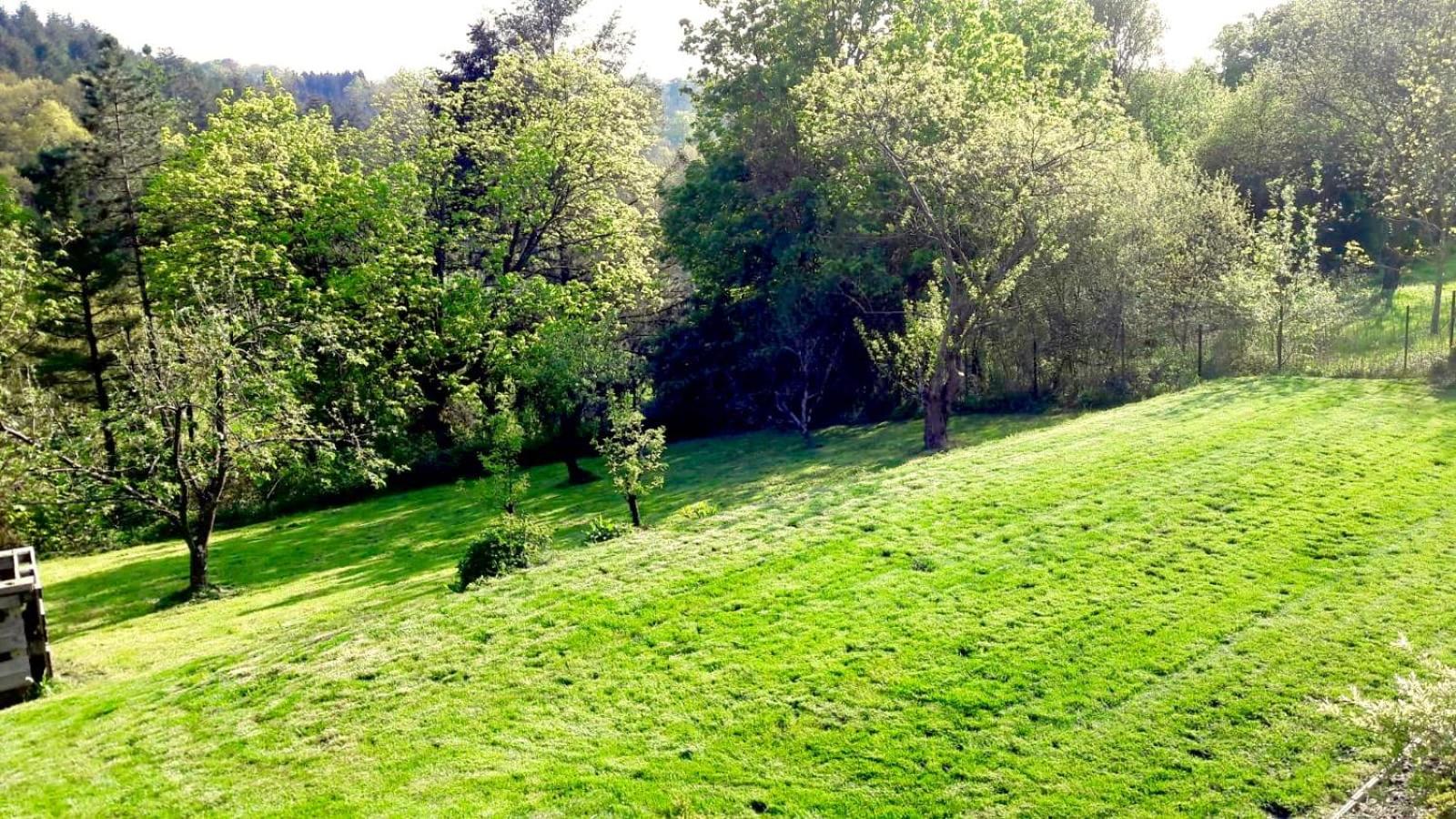 Gite La Petite Beurrerie des Ardennes
